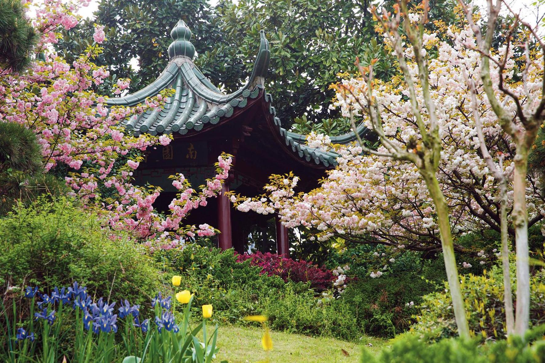 garden