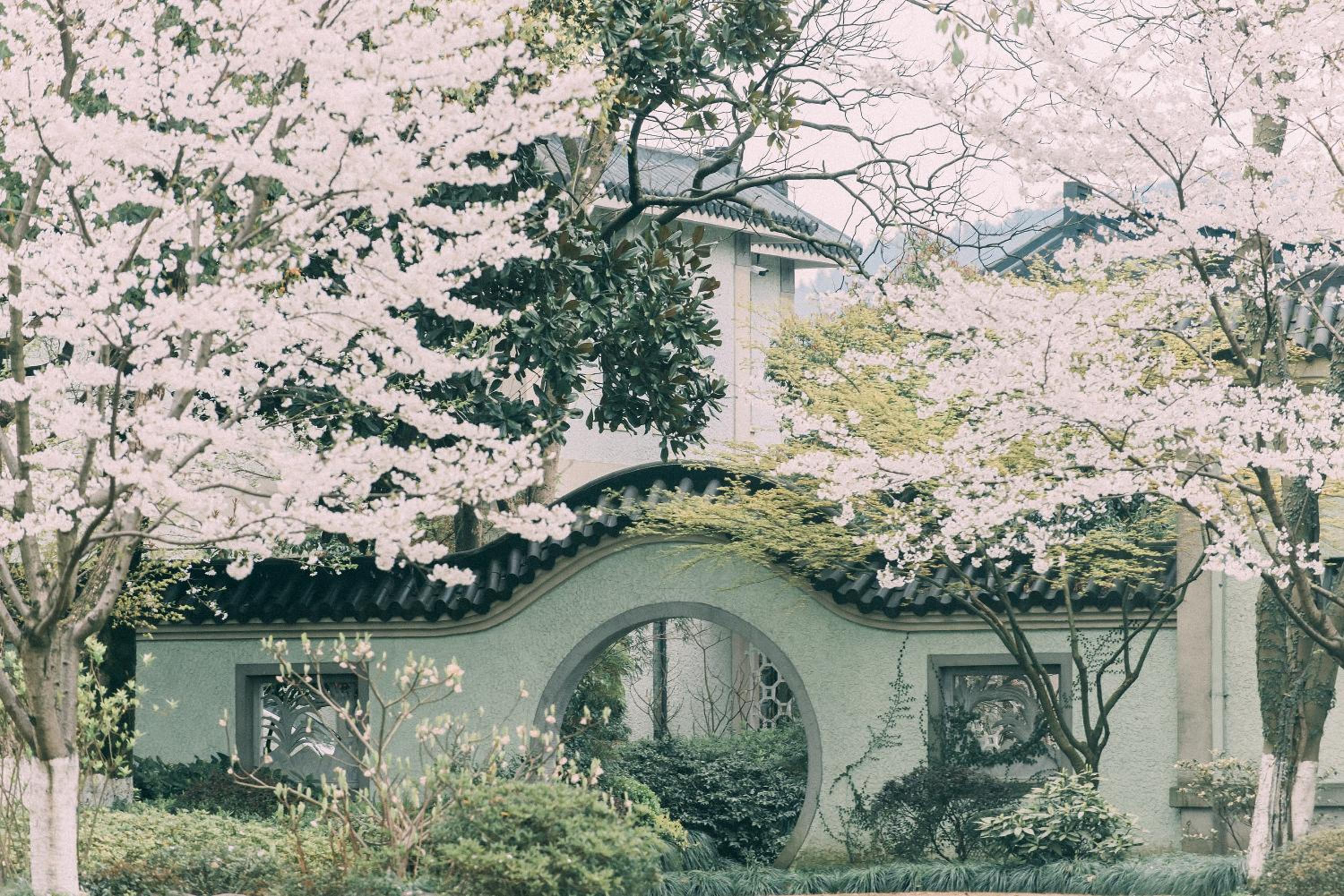 garden