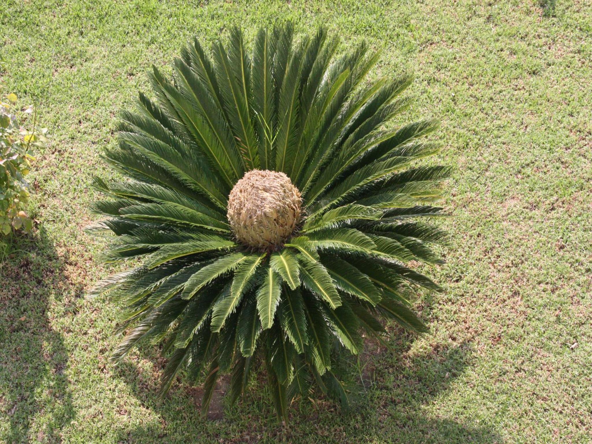 Photo 20