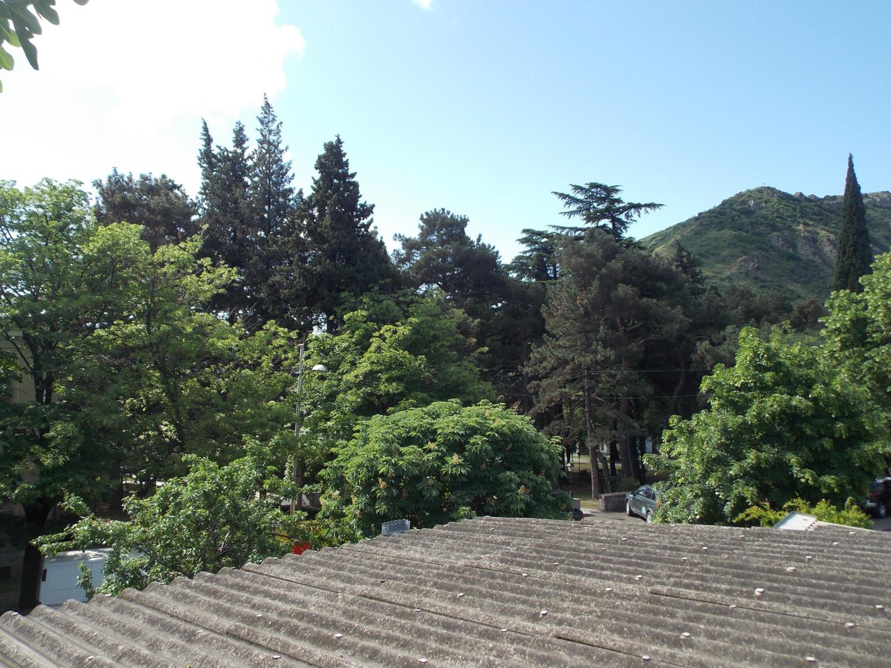 Photo 51