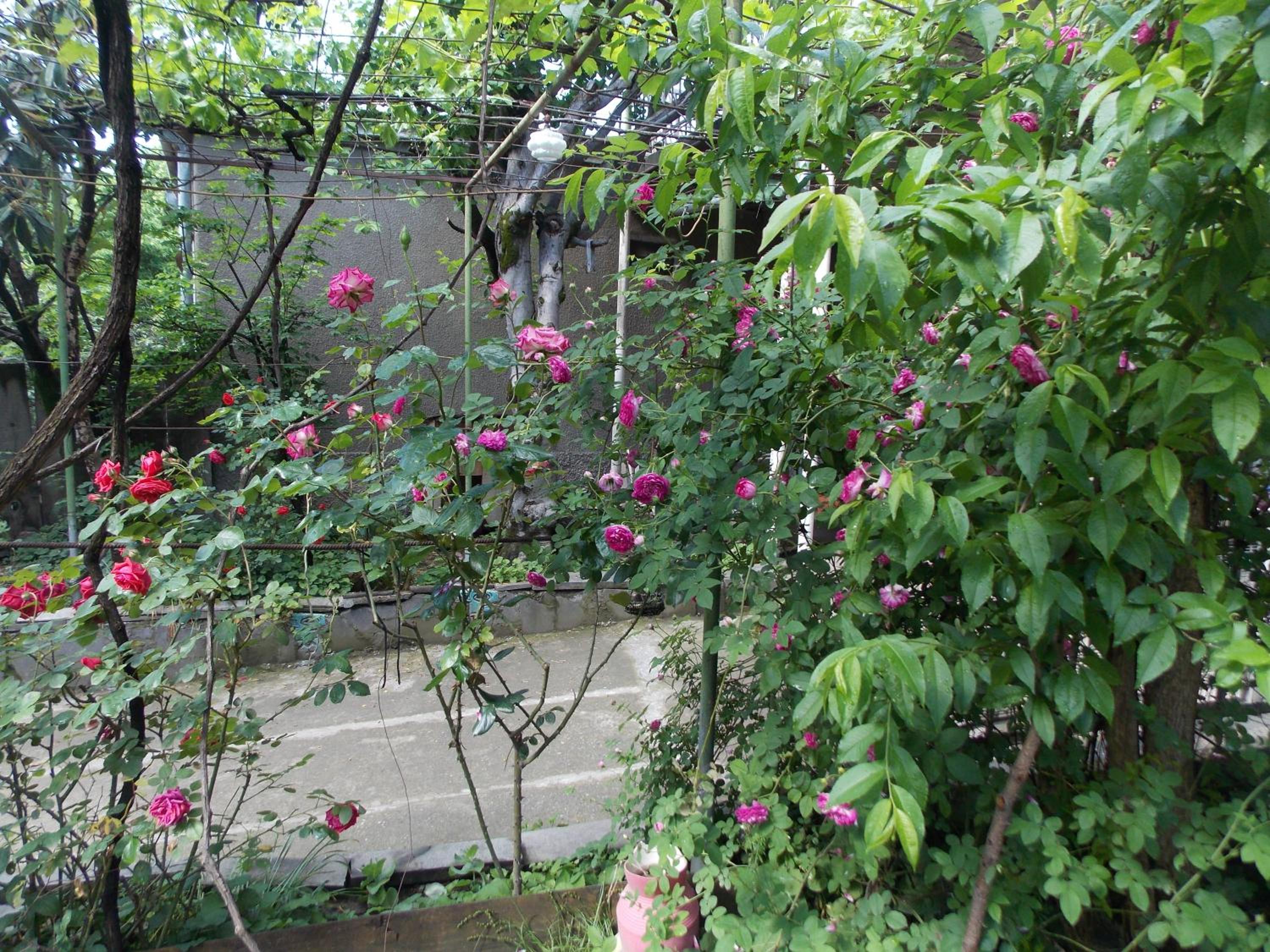 Photo 49