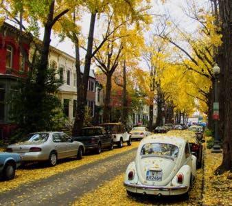 Big Bright 1 BR at U/Shaw + 14th on Quaint Swann view 4