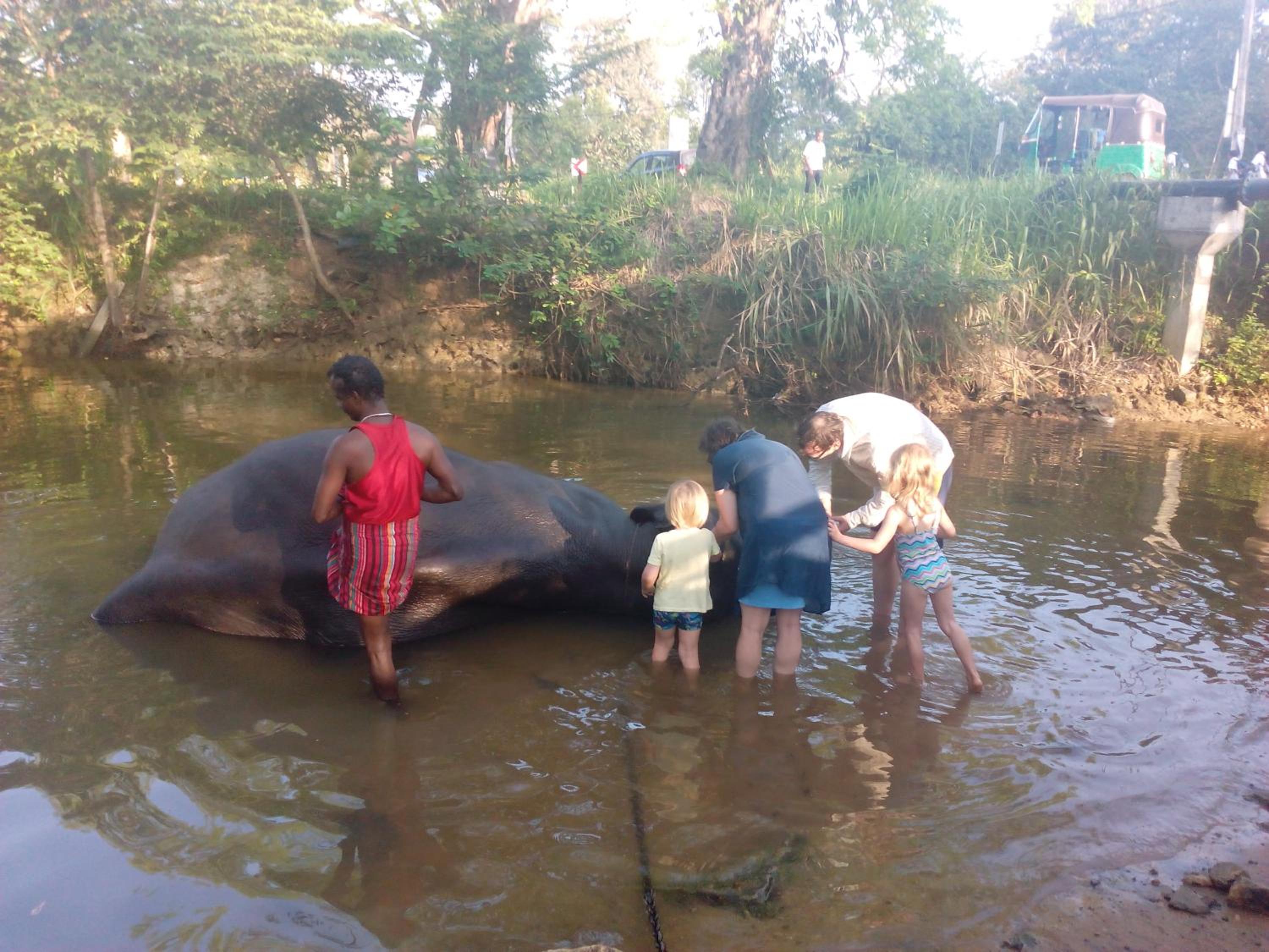 Amba Sewana Homestay