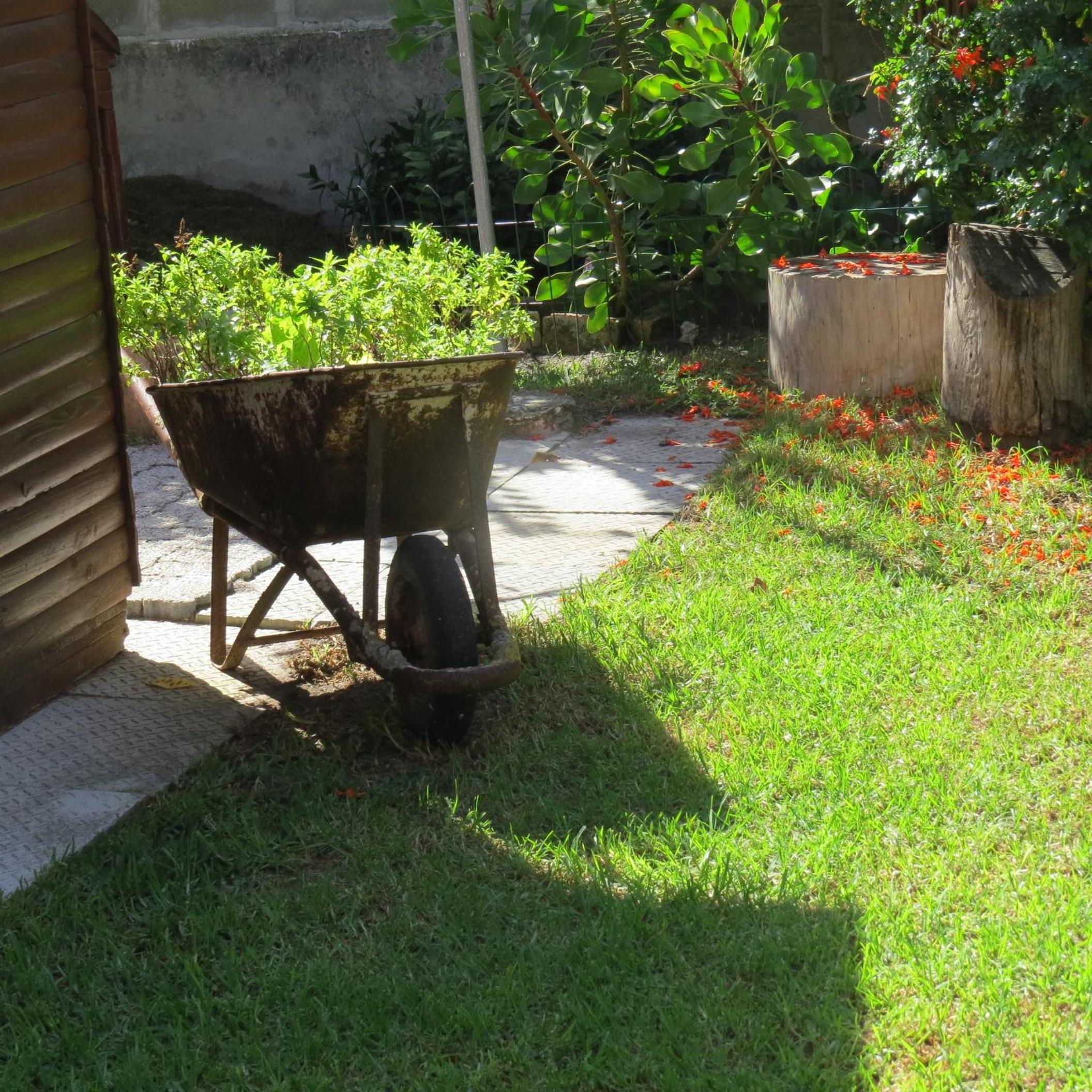 Photo 21