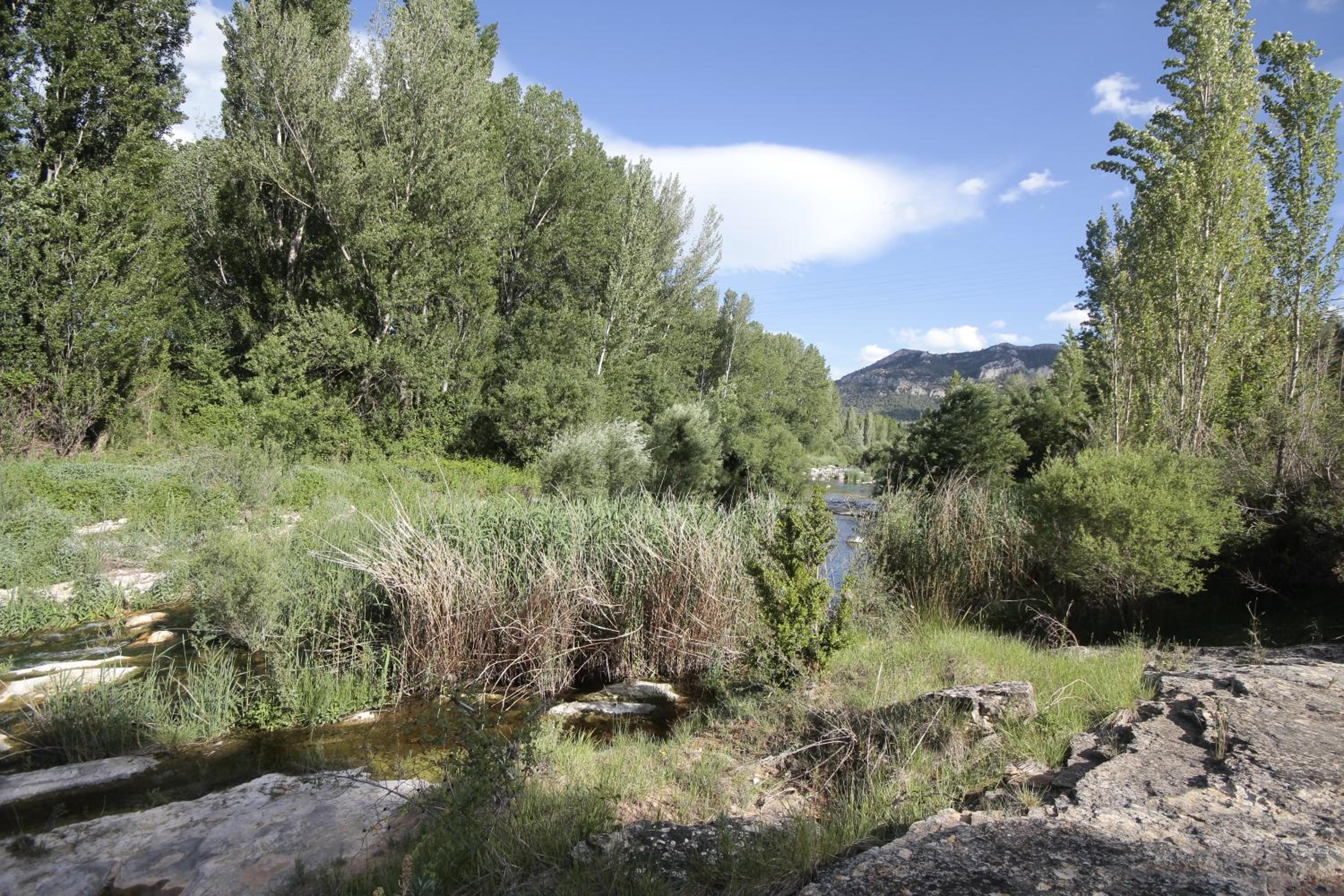 Maset del Riu view 3