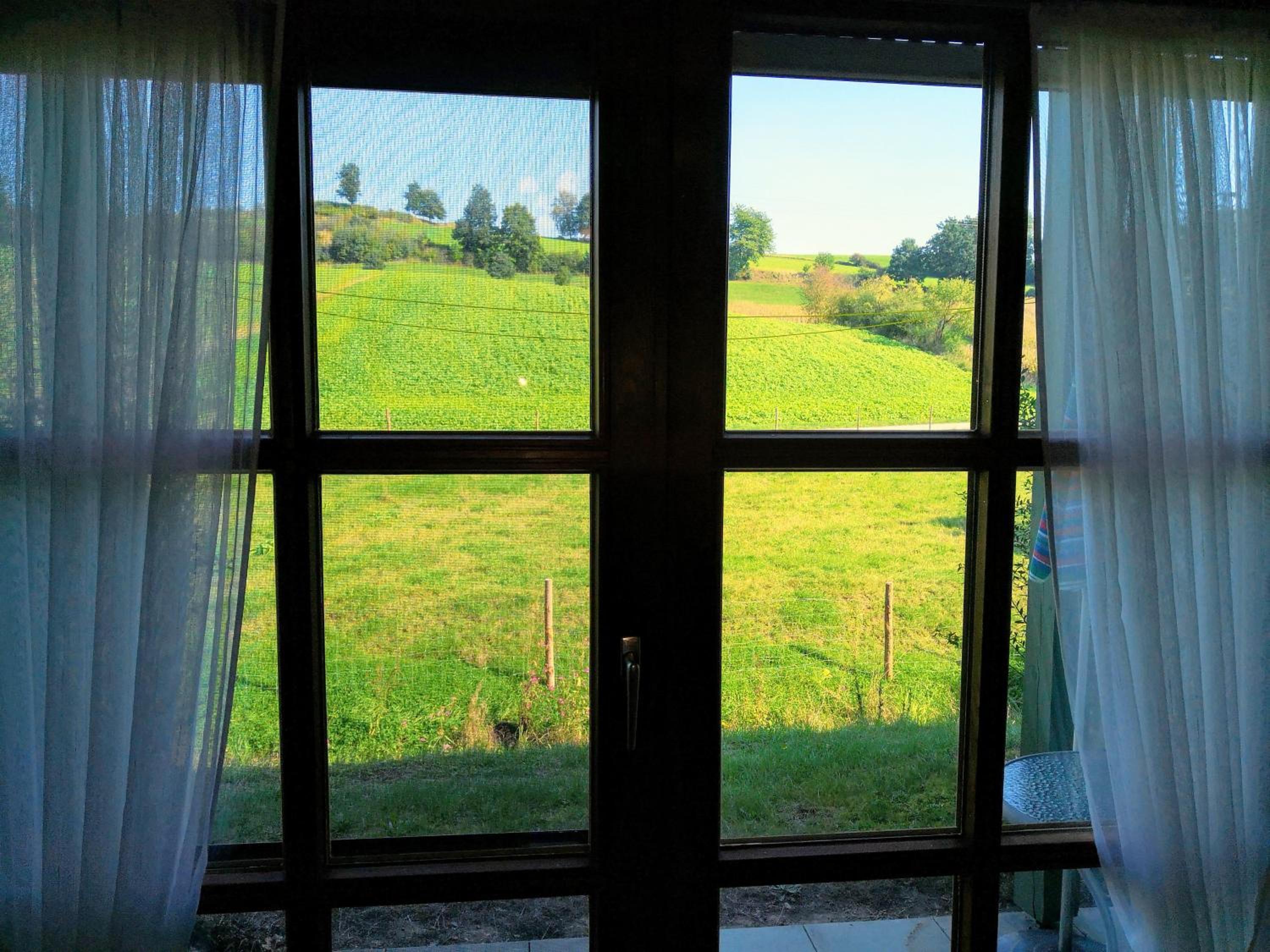 Ferienwohnung Mühlbachblick view 3