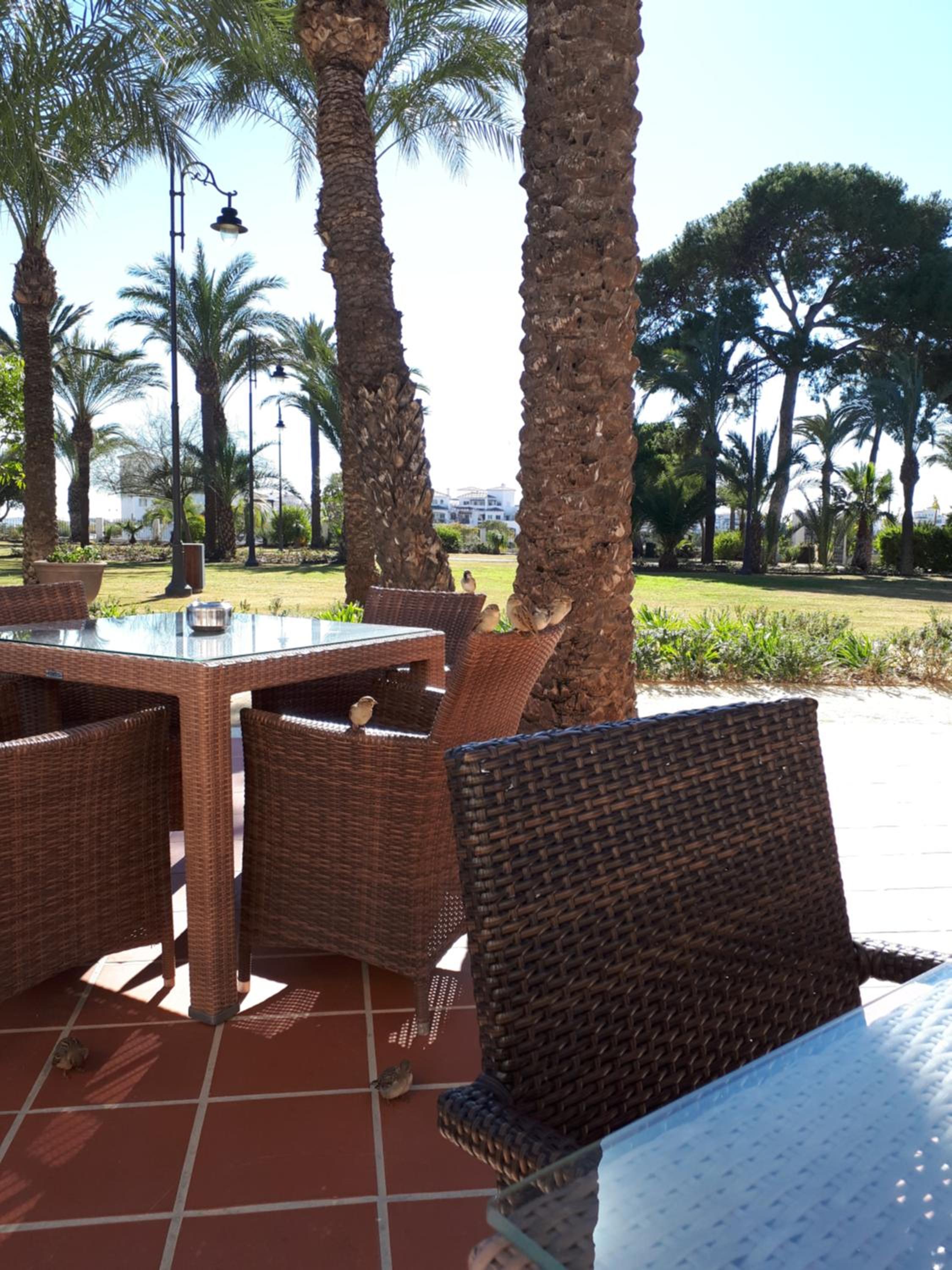 Hacienda Riqueleme Golf Resort view 2