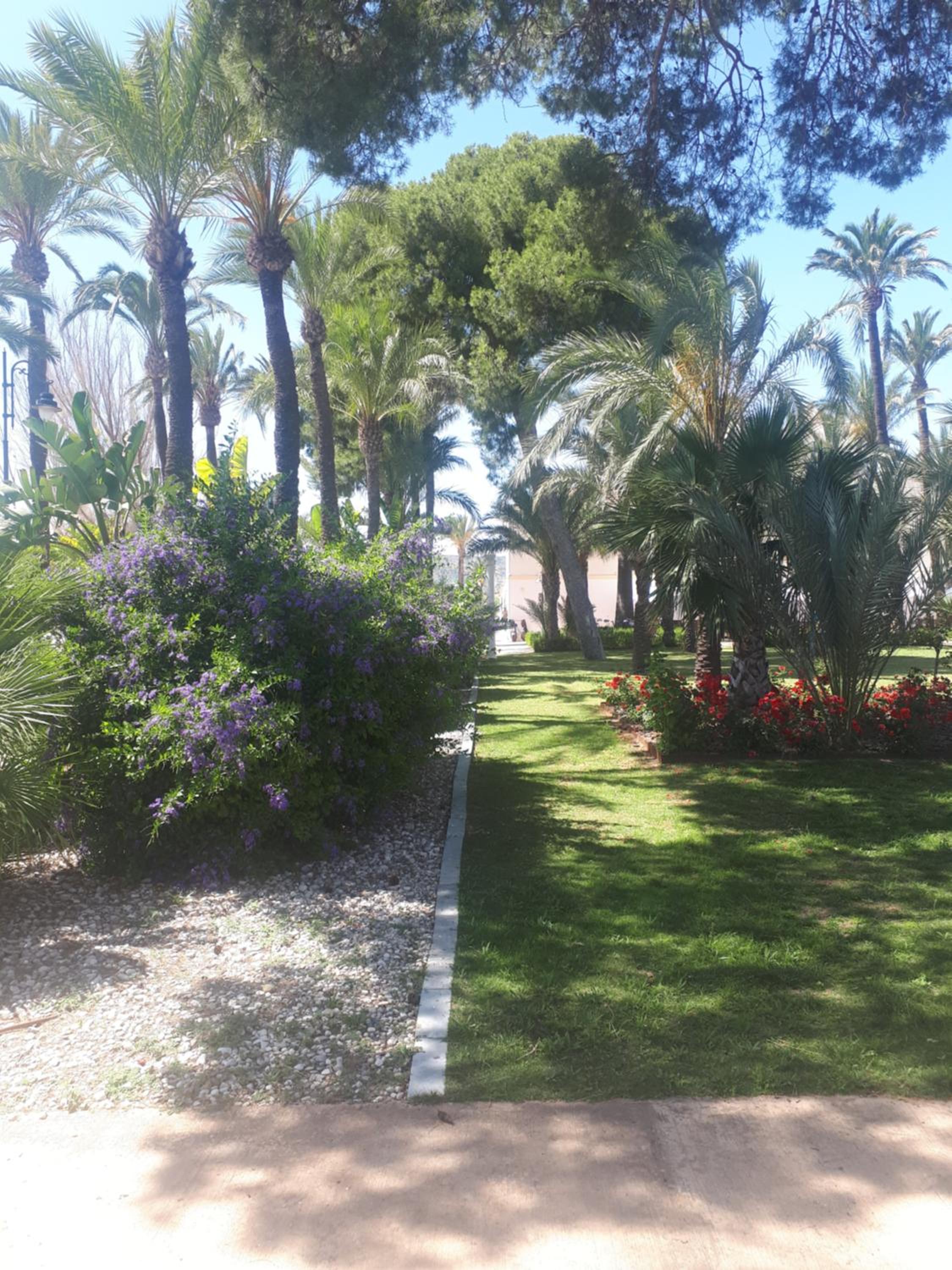 Hacienda Riqueleme Golf Resort view 4