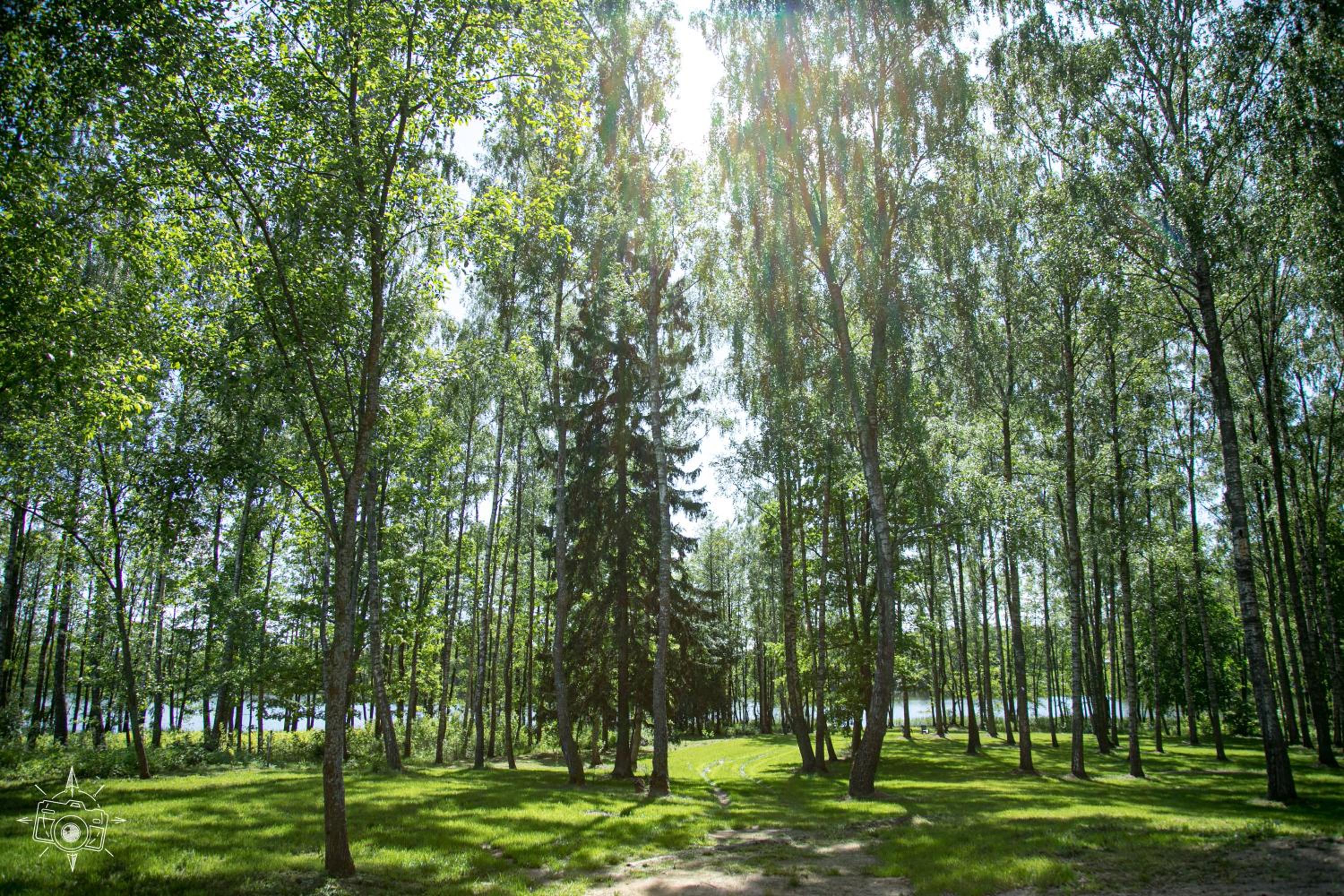 Photo 45