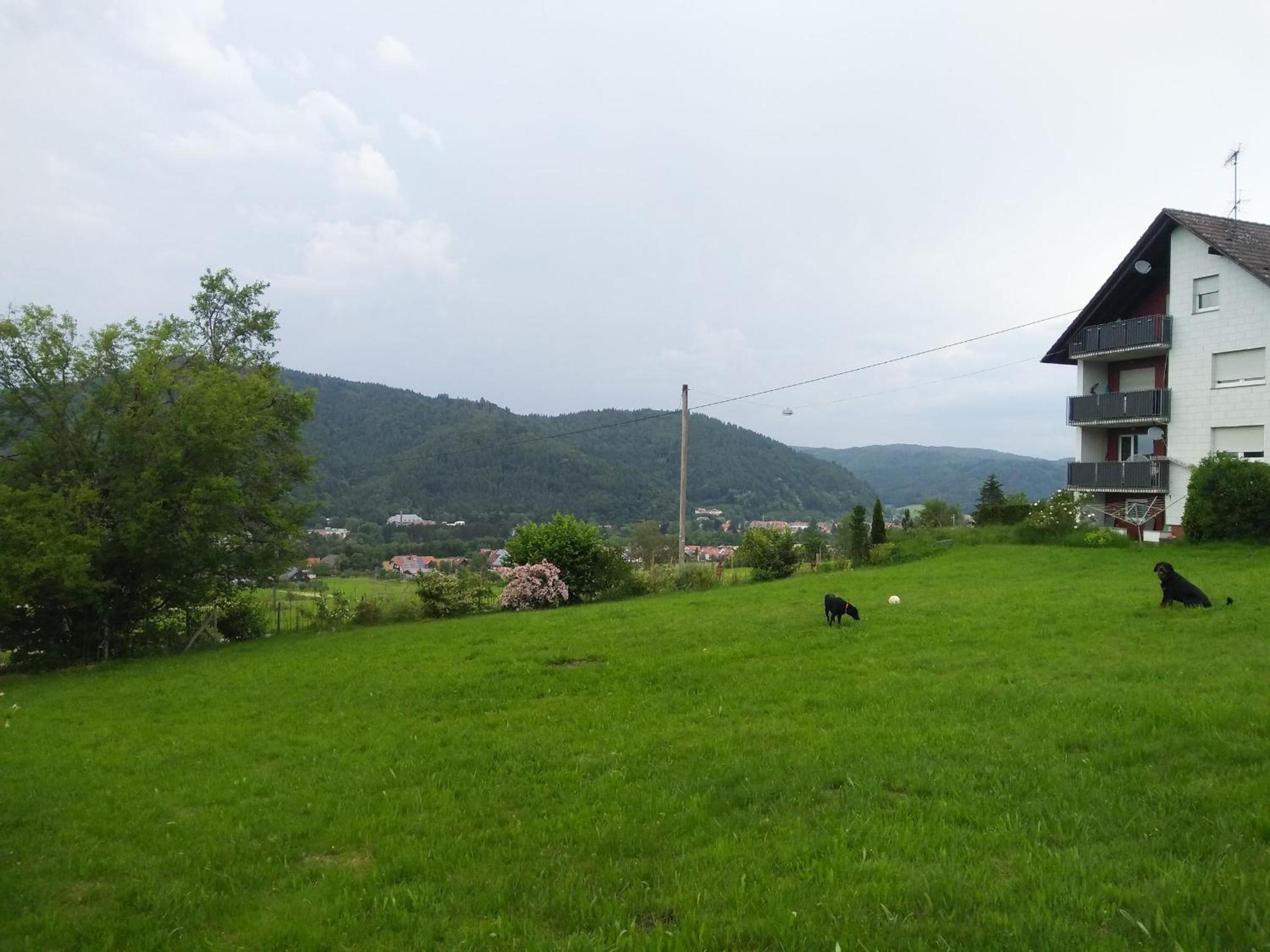 Ferienwohnung Am Eichbühl view 5