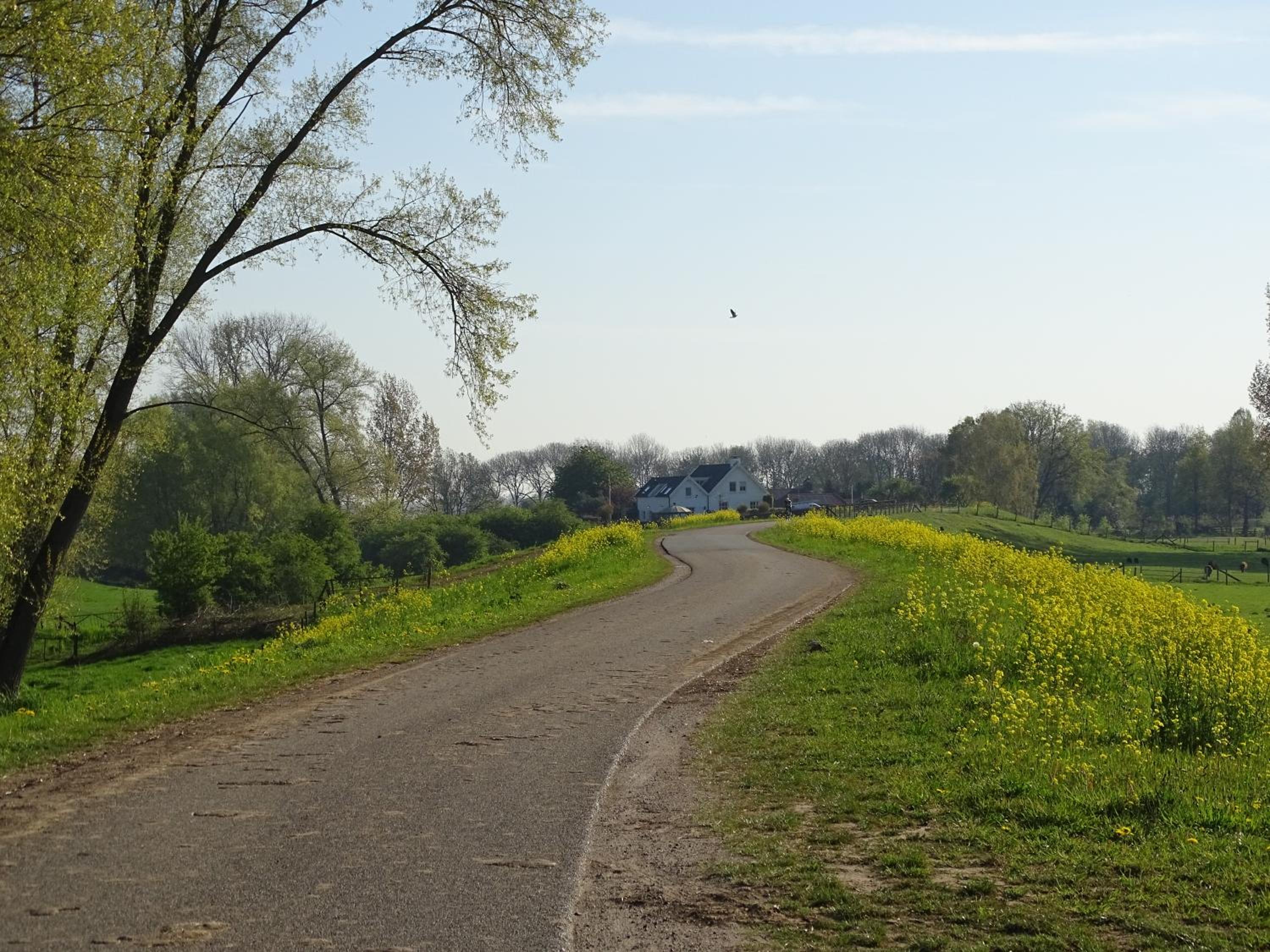 Photo 25