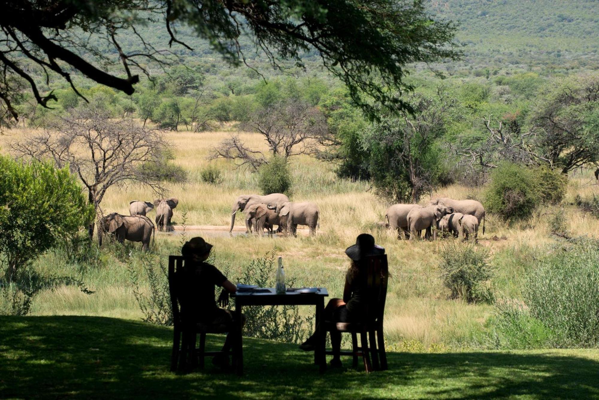 Marataba Safari Lodge