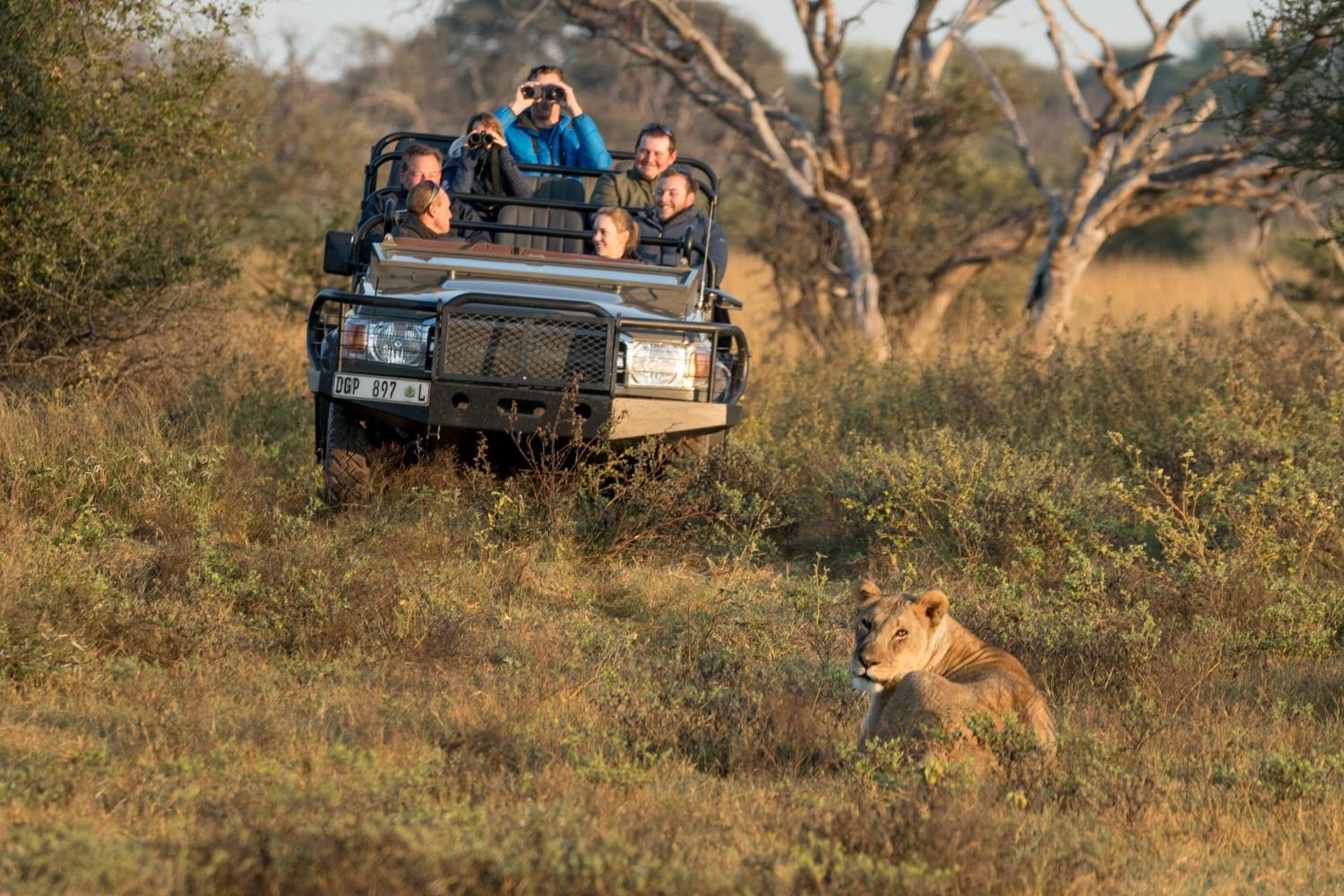 Marataba Safari Lodge