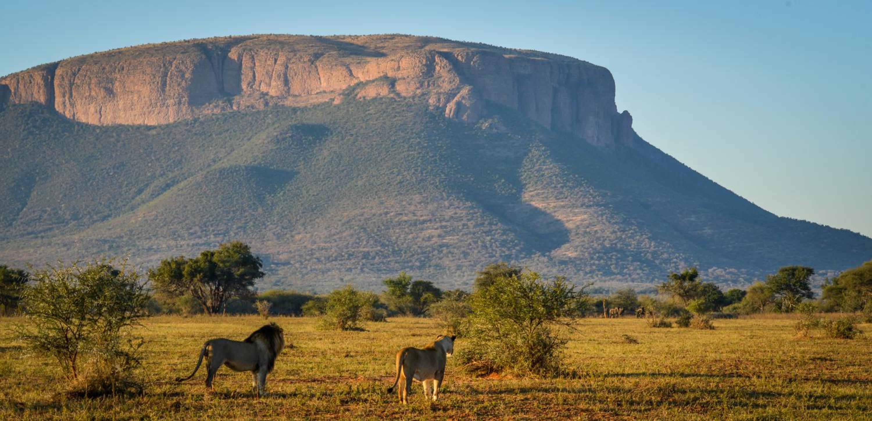 Marataba Safari Lodge