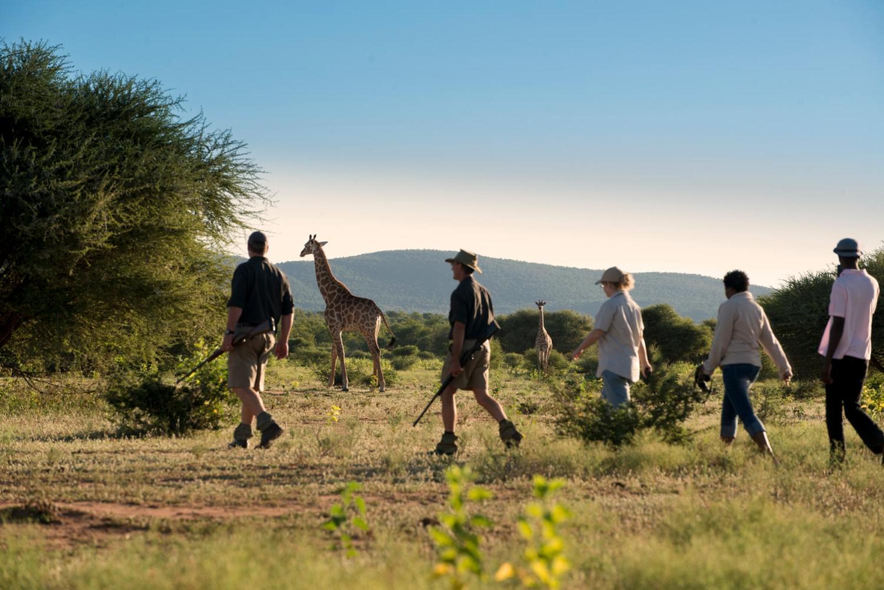 Marataba Safari Lodge