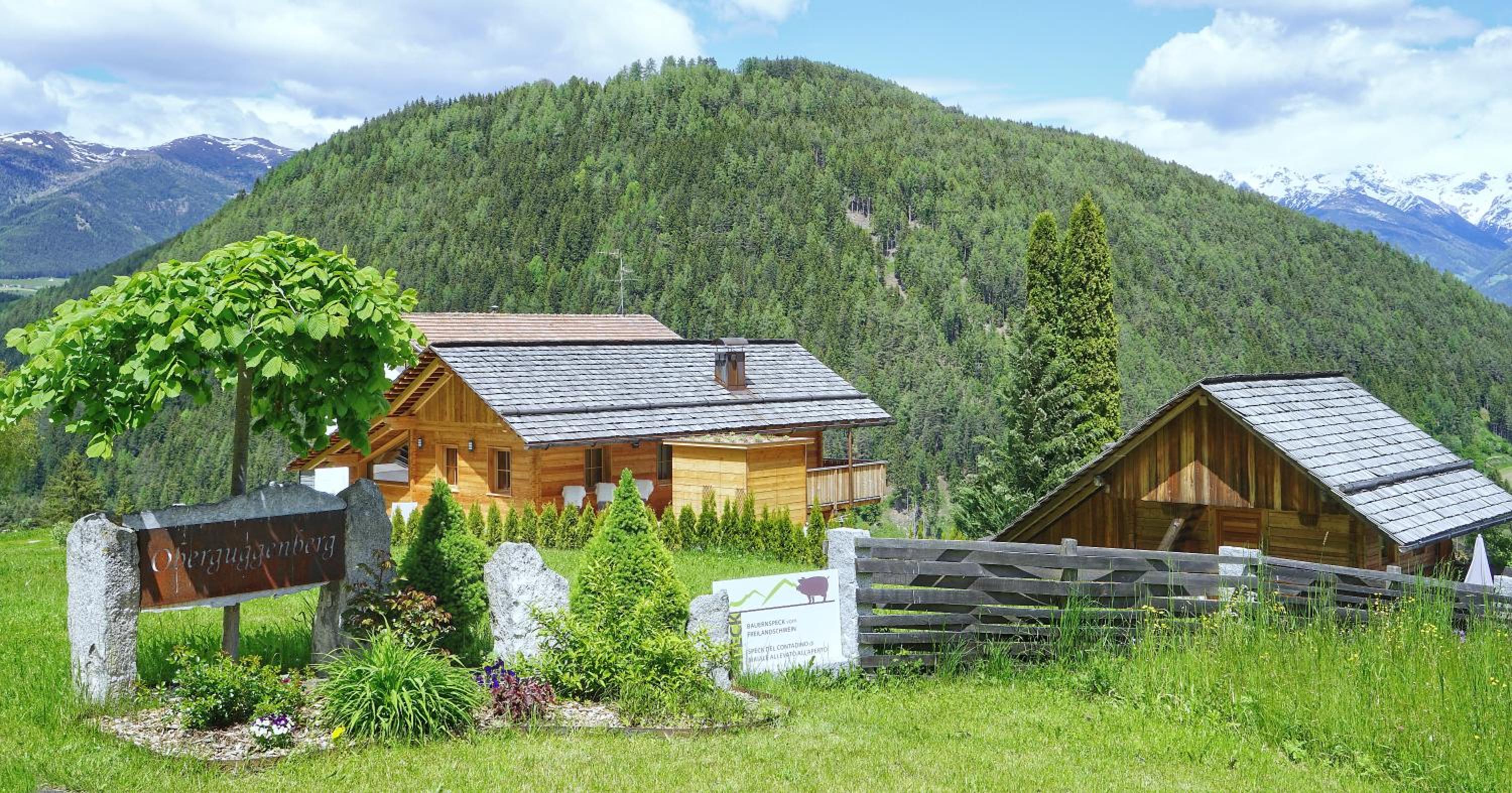 Chalet Oberguggenberg photo 3