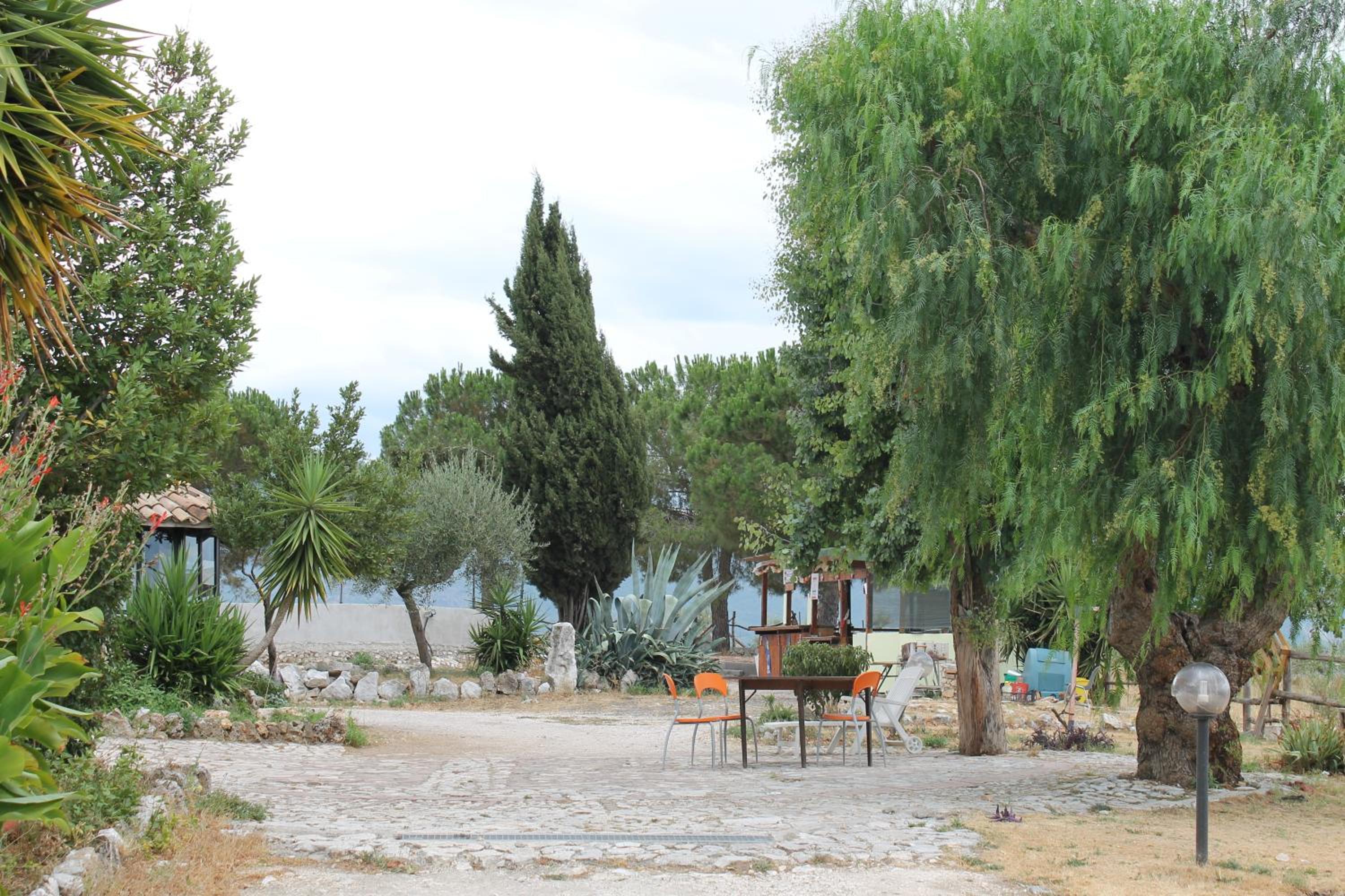 Photo 20