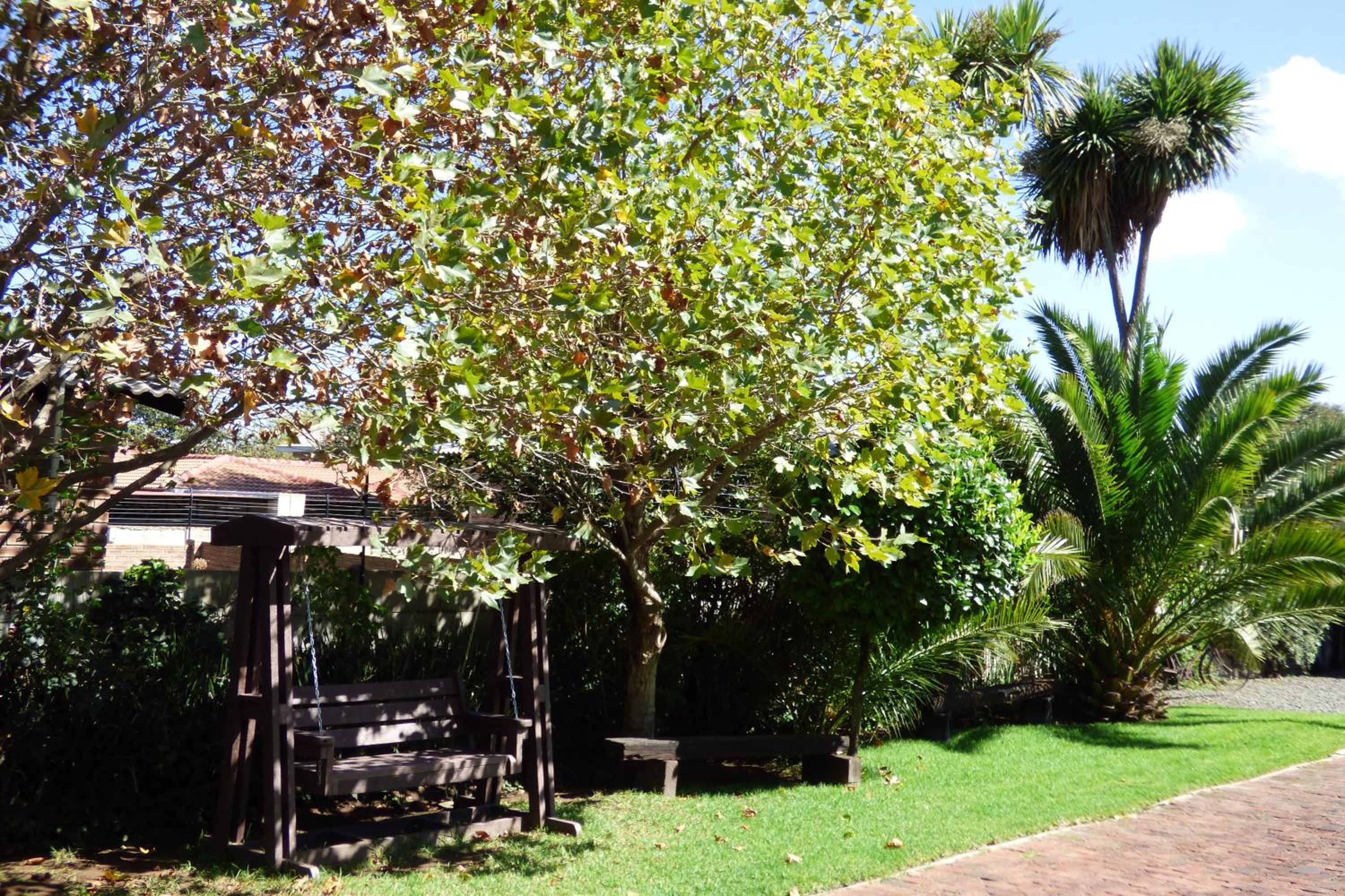 Photo 11