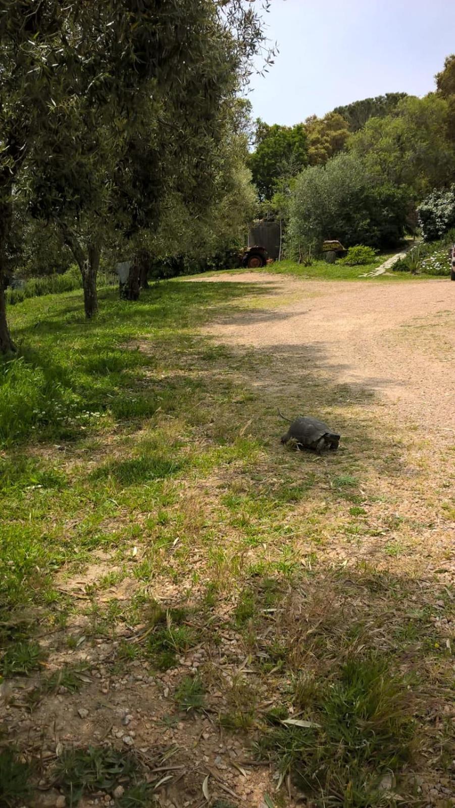 Photo 30