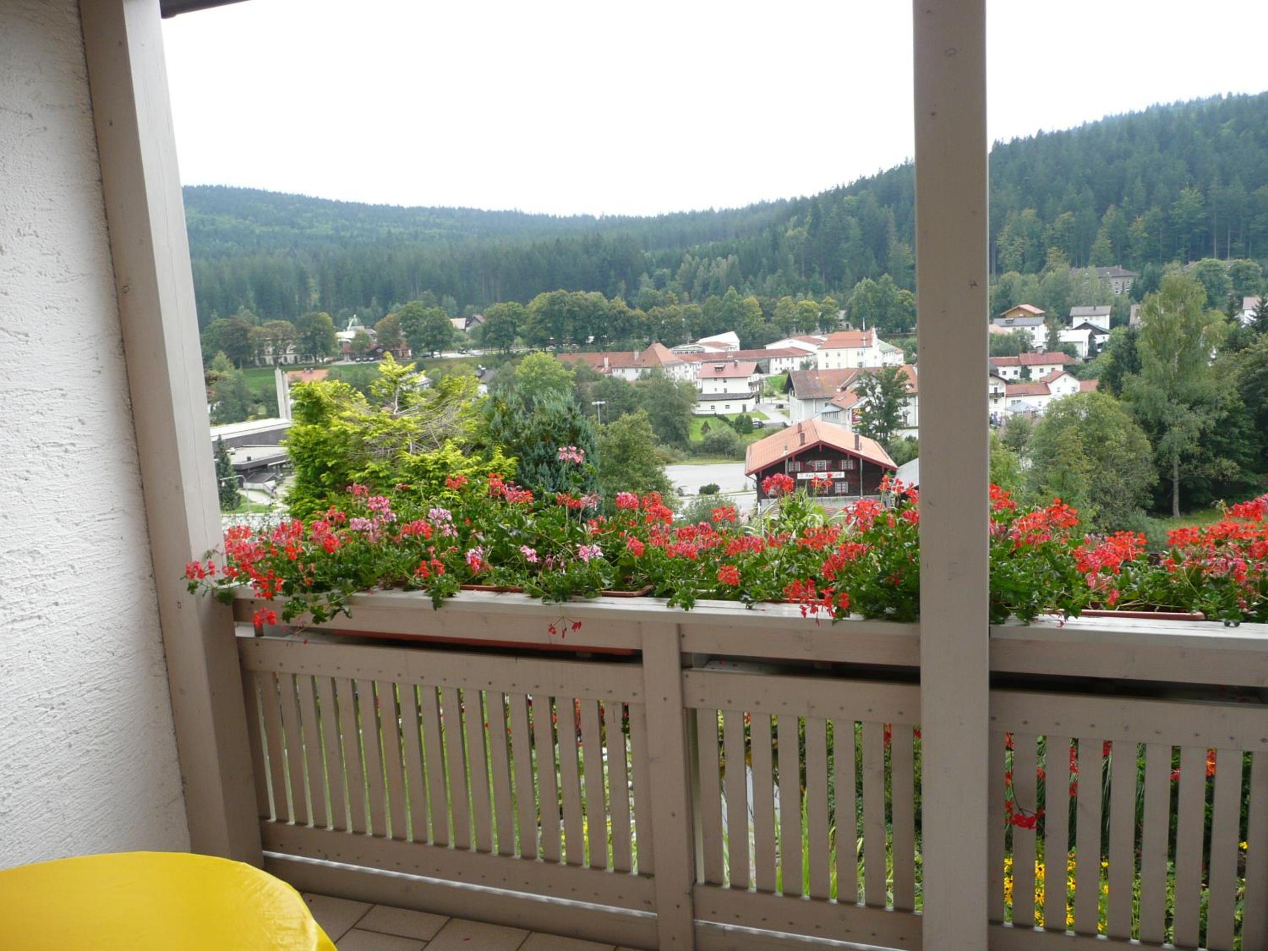 Arber Ferienwohnungen Friedl view 4