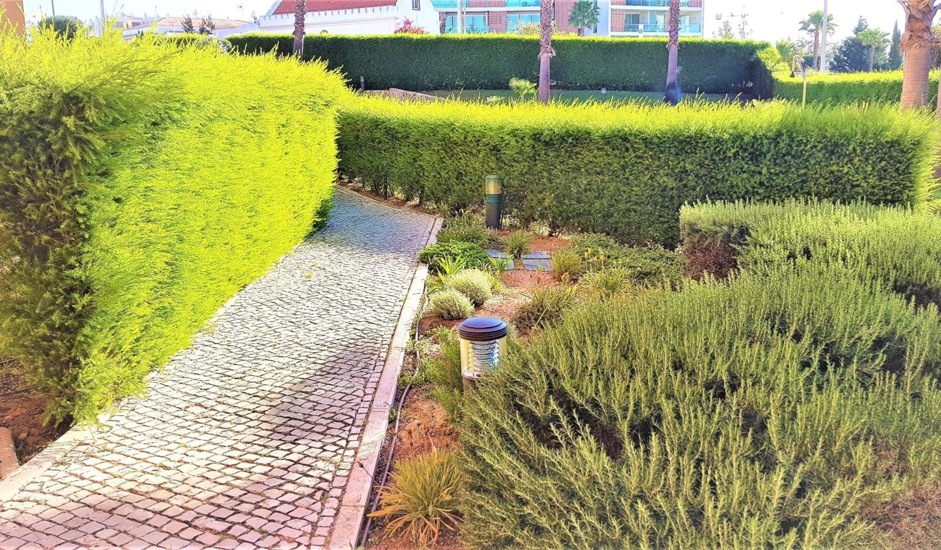 Photo 39