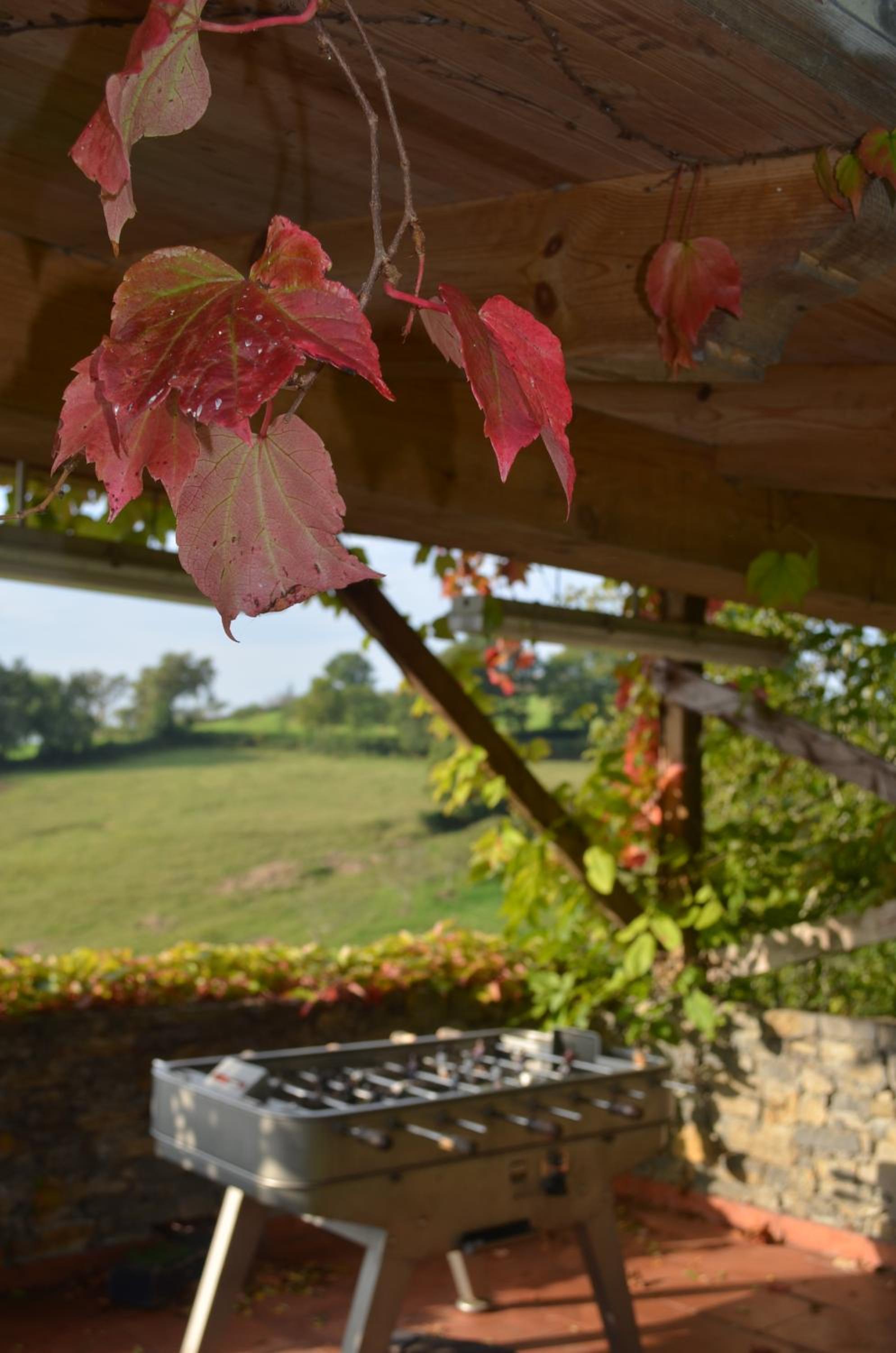 outdoor BBQ area