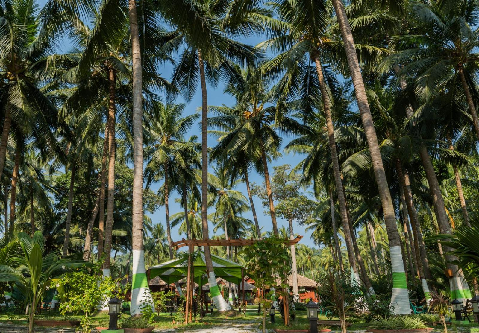 Coral Reef Resort & Spa, Havelock
