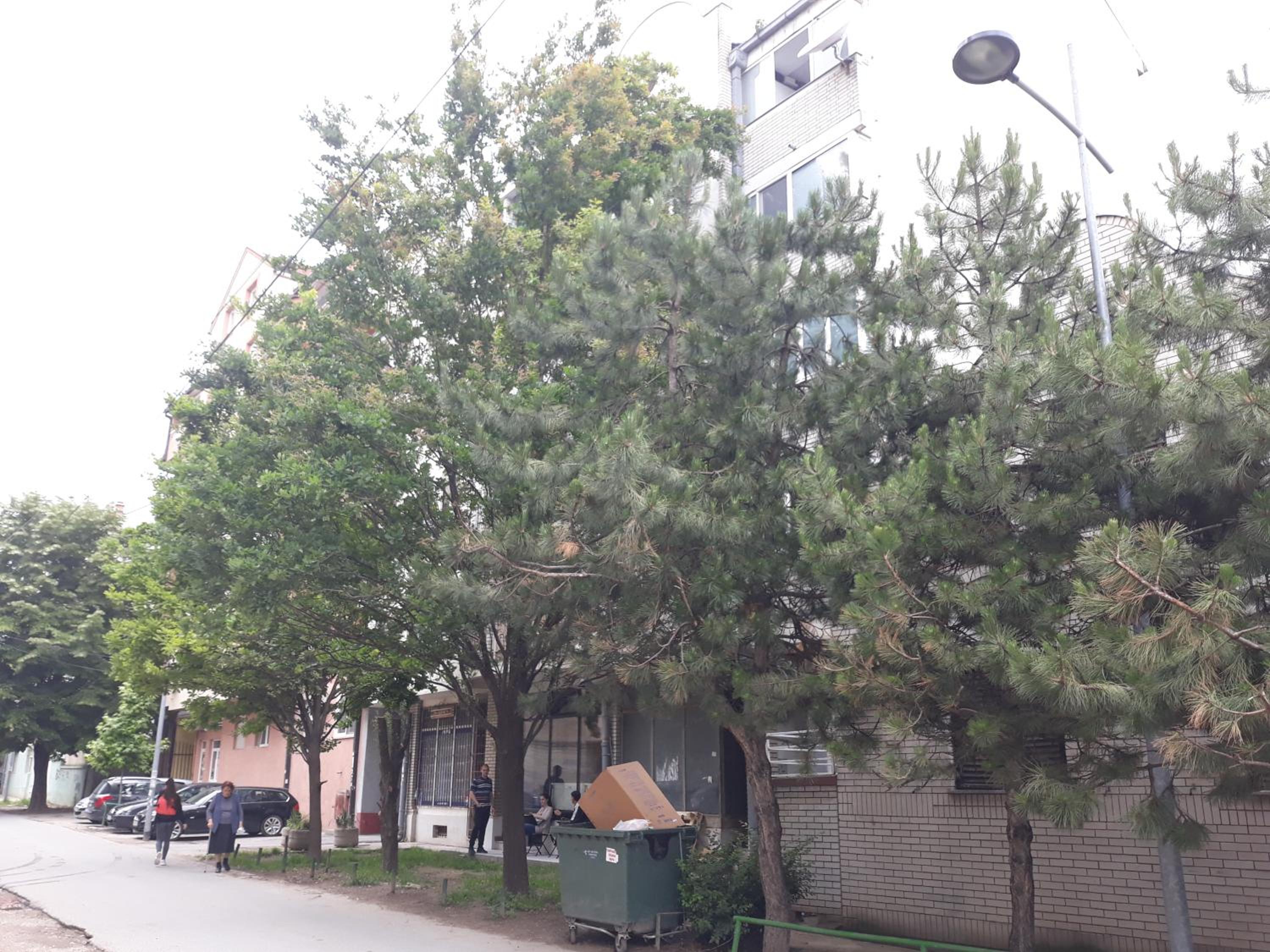 Photo 26