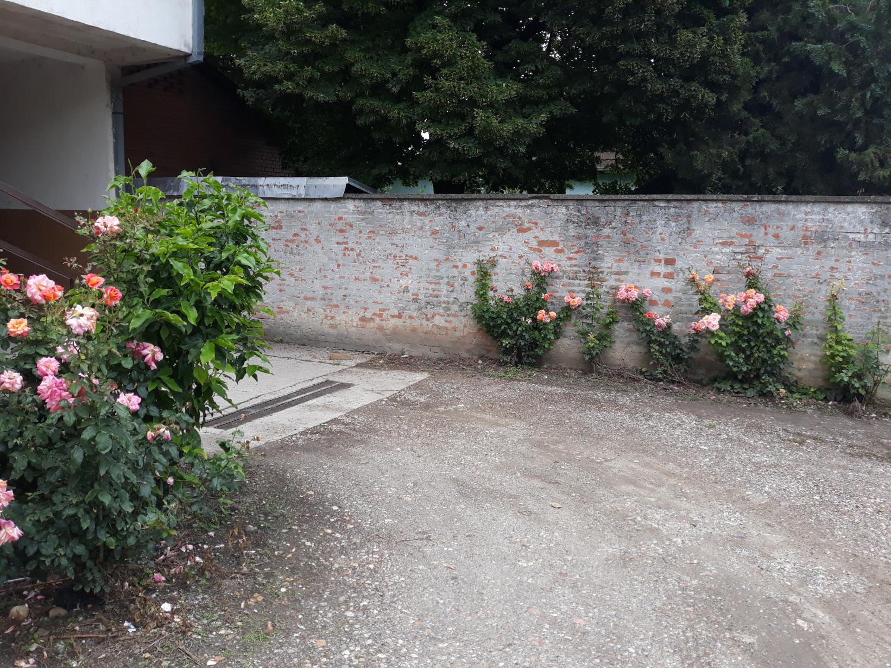 Photo 27