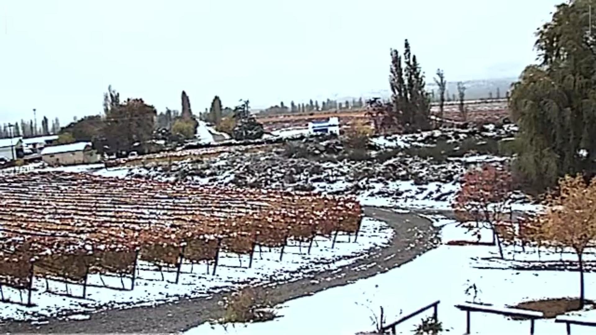 Cabaña del Alto Tupungato