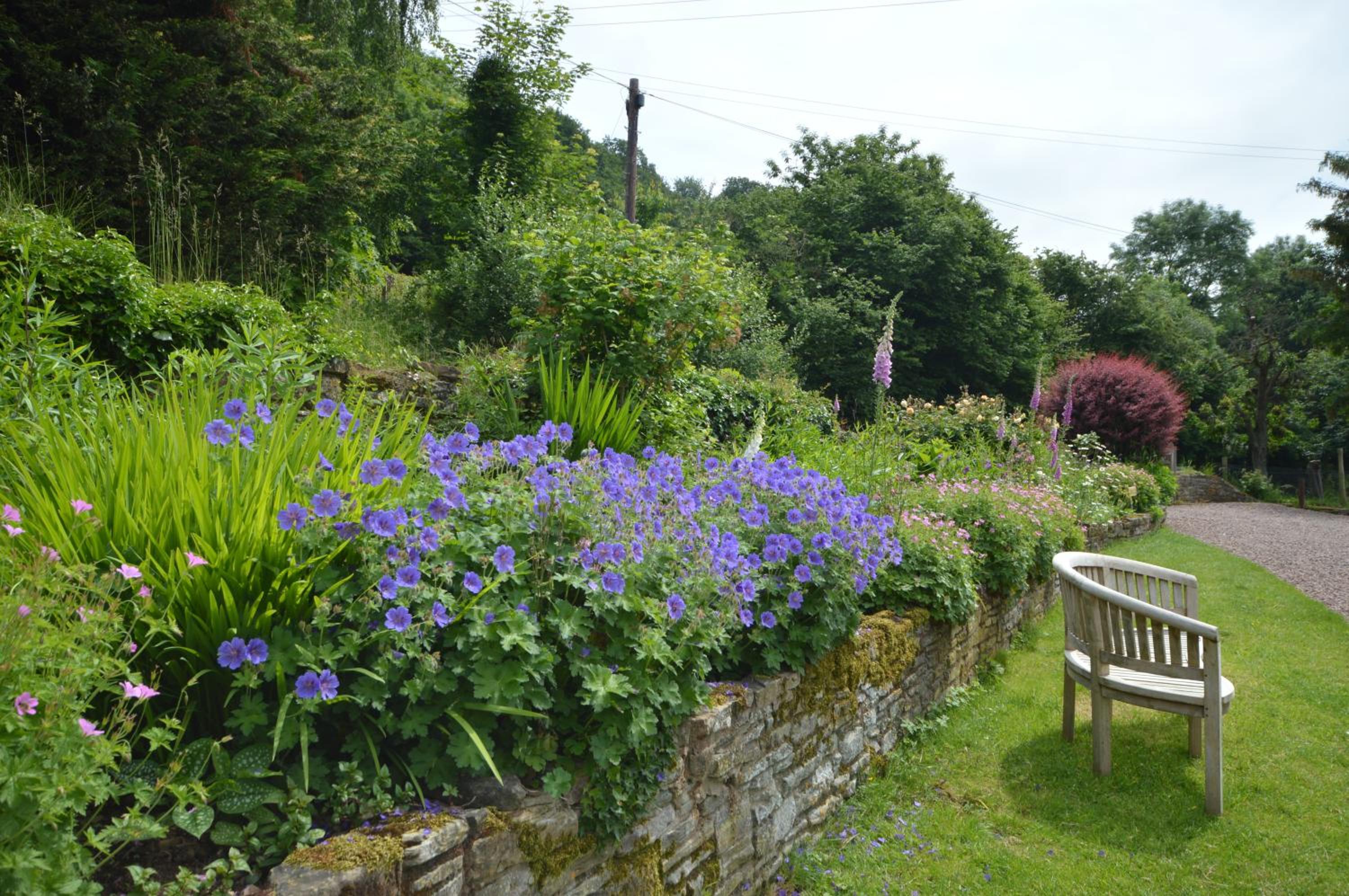 Whitewells Farm Cottages - 7 exceptionally well appointed pet friendly barn conversions set in 10 acres of gardens, fields and woodland suitable from 2 to 