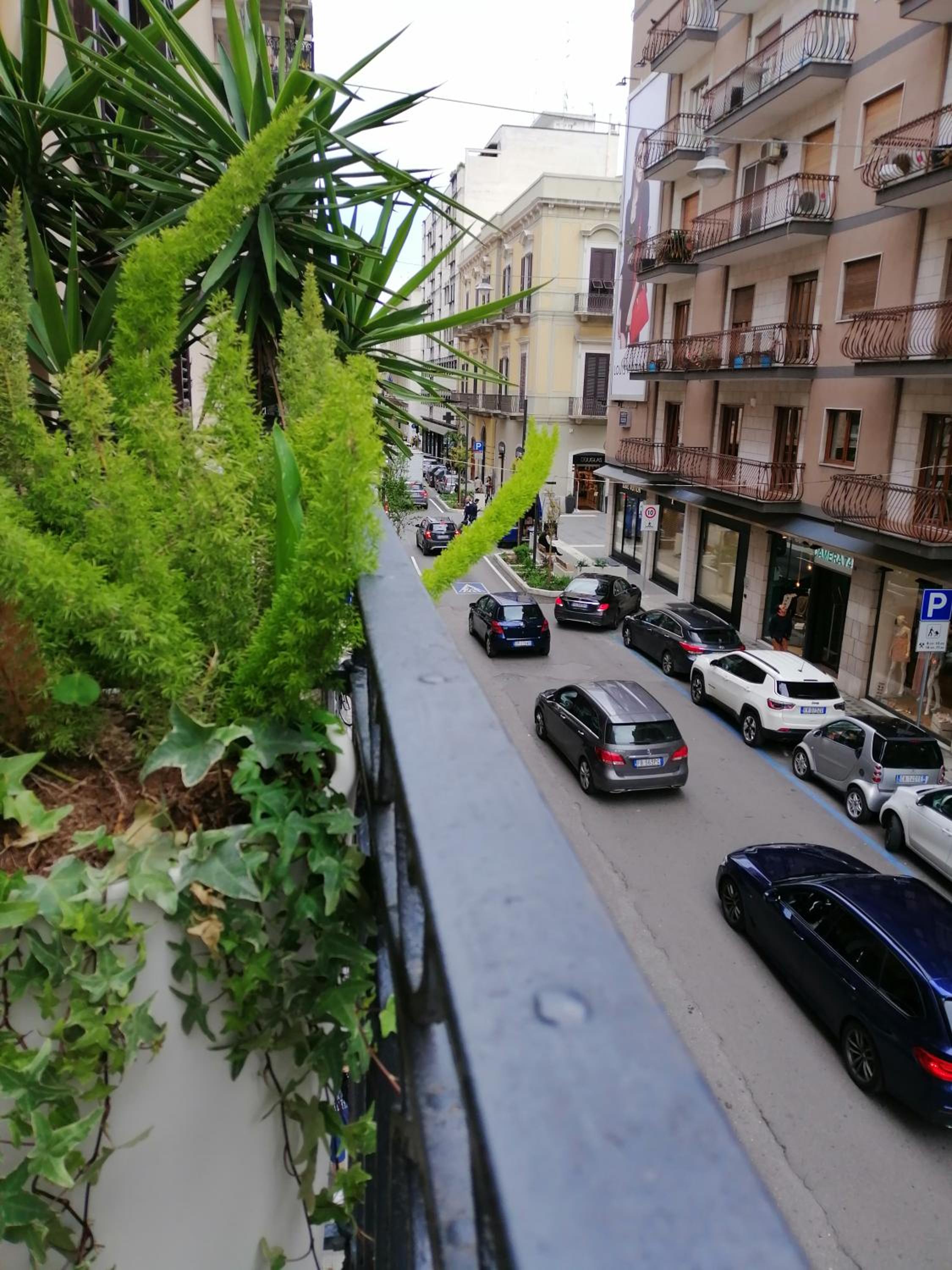 BARI 102 view 5