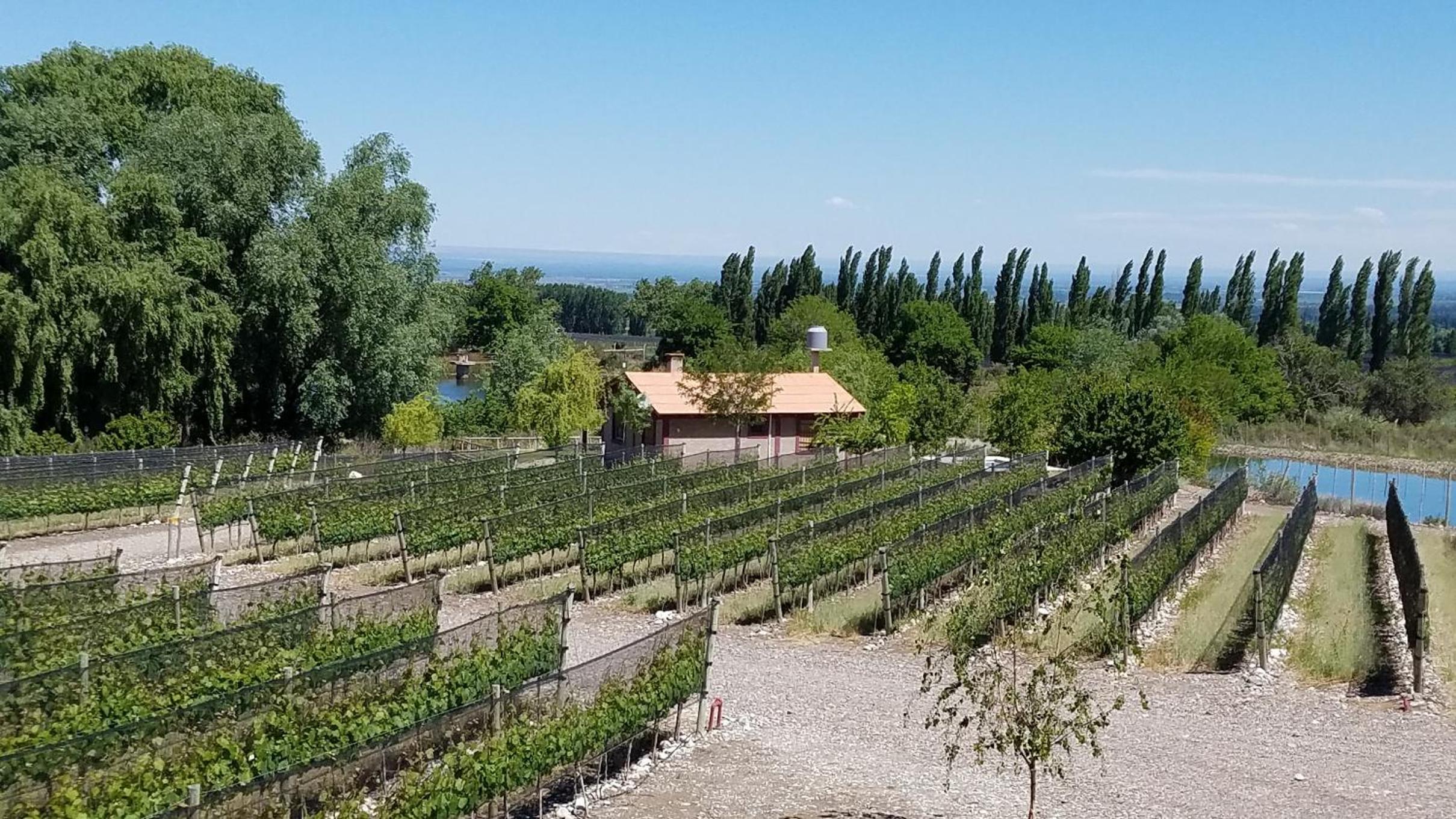 Cabaña del Alto Tupungato