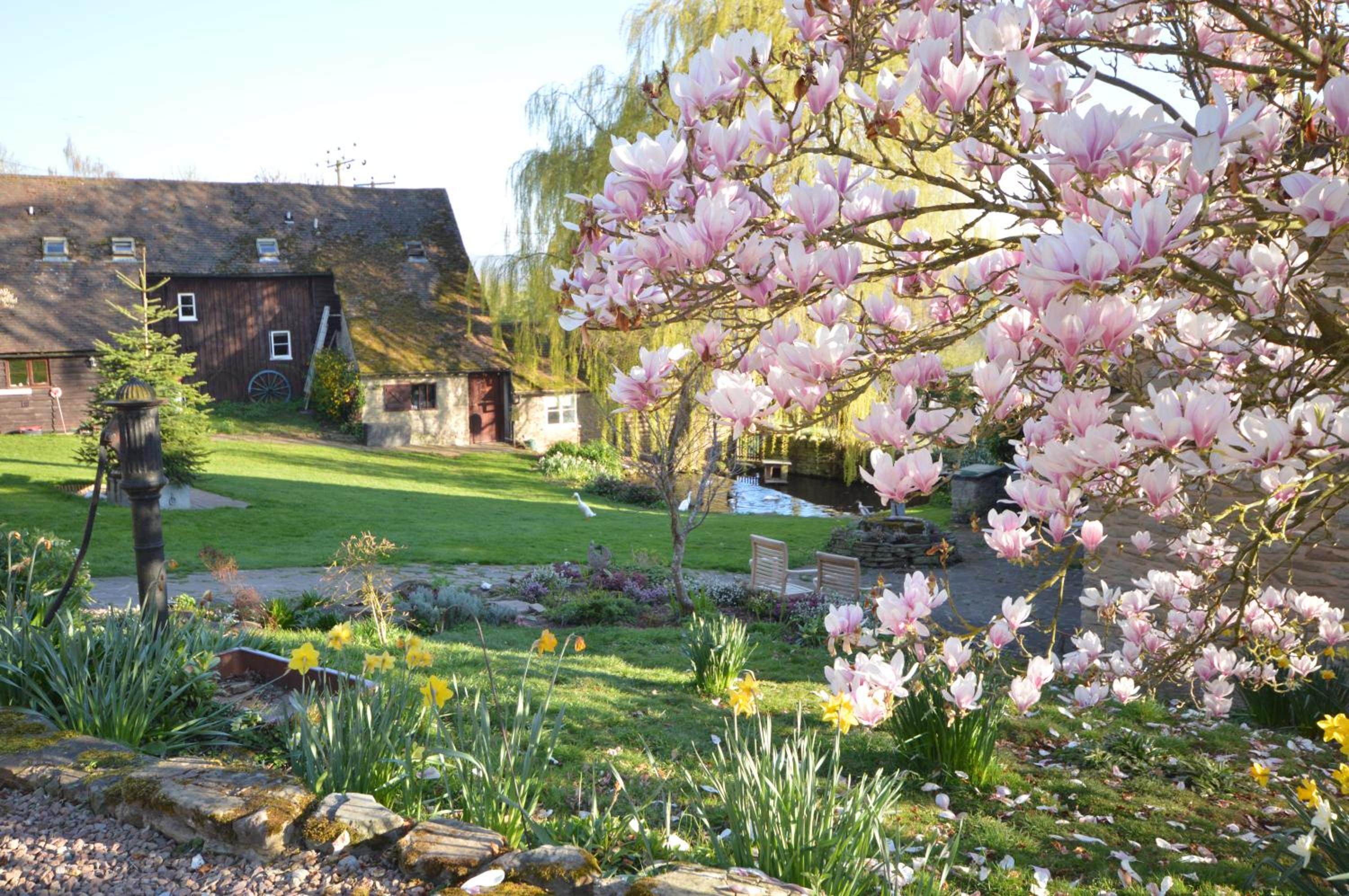 Whitewells Farm Cottages - 7 exceptionally well appointed pet friendly barn conversions set in 10 acres of gardens, fields and woodland suitable from 2 to 