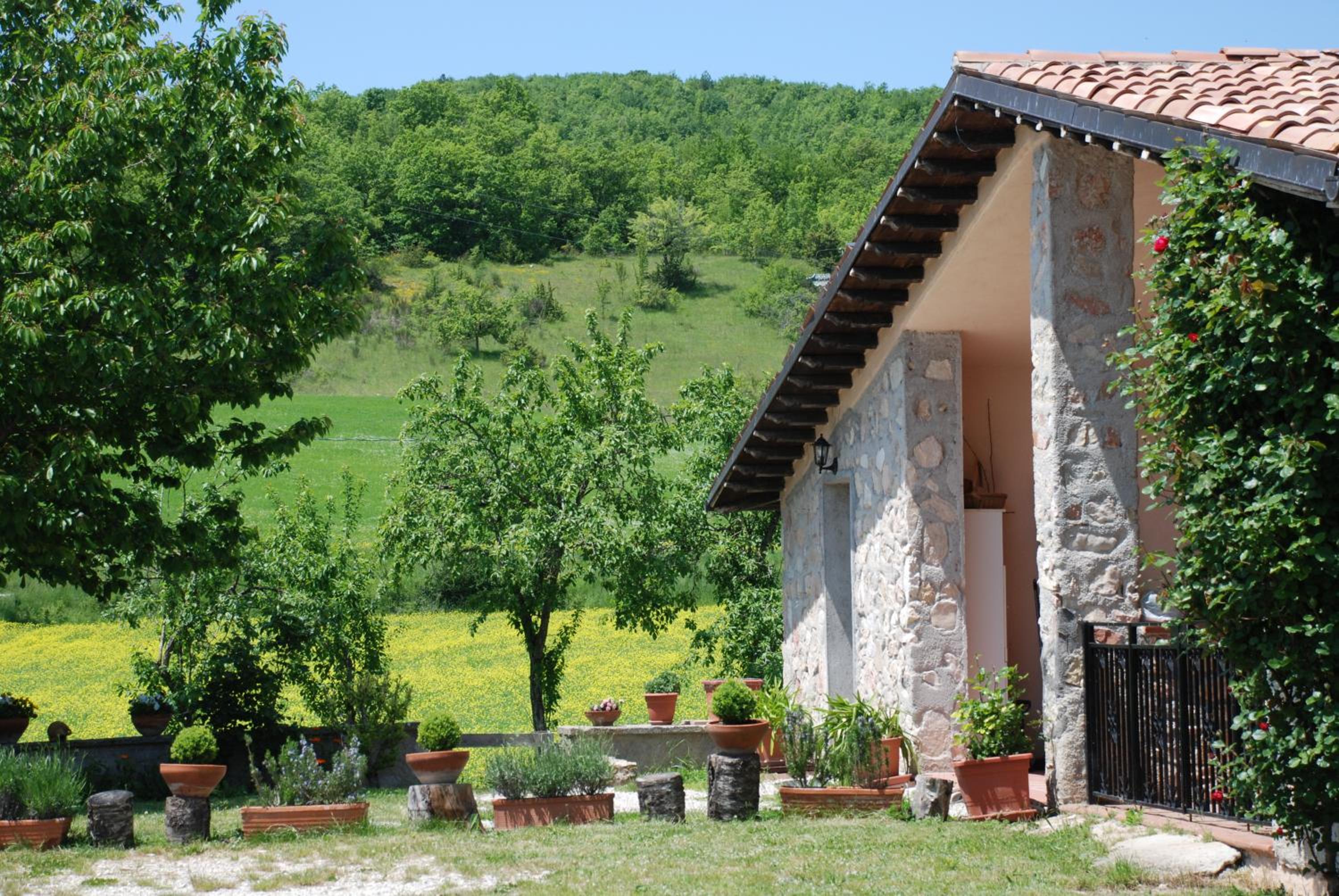 Casale la Torretta photo 2