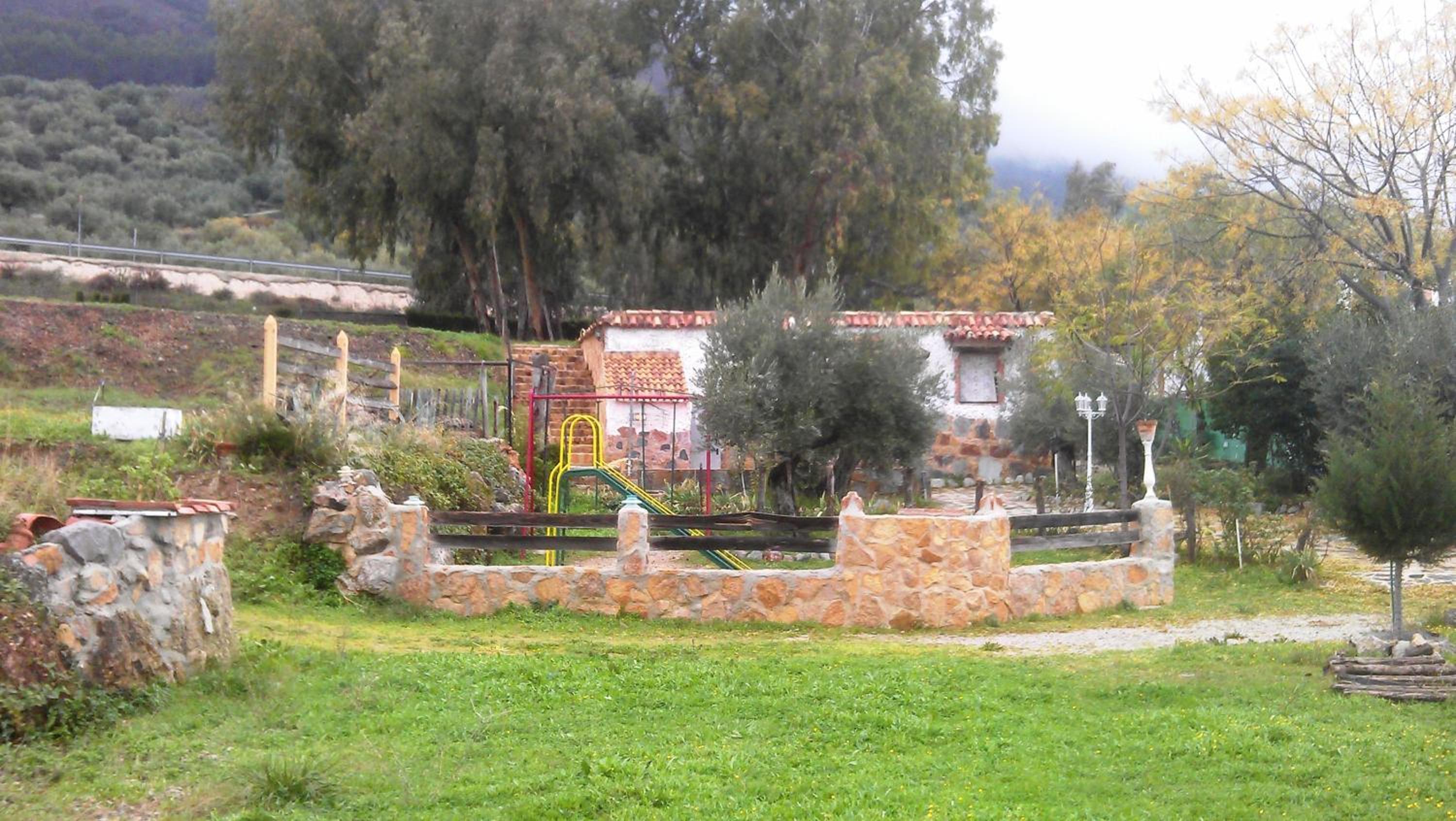 Photo 25