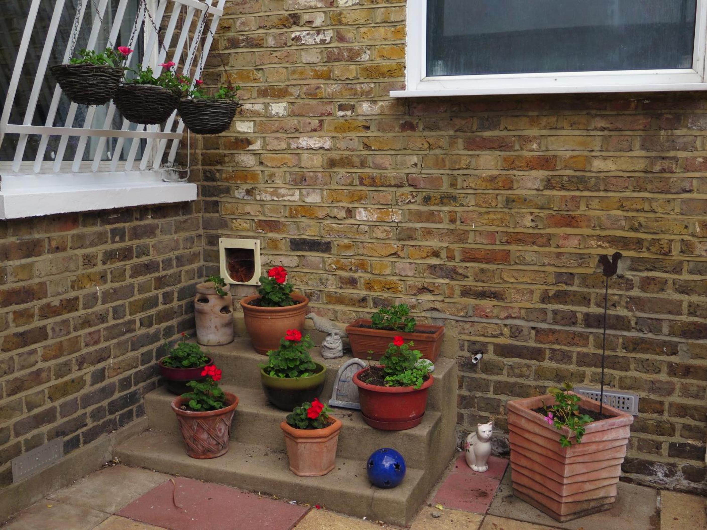 Photo 23