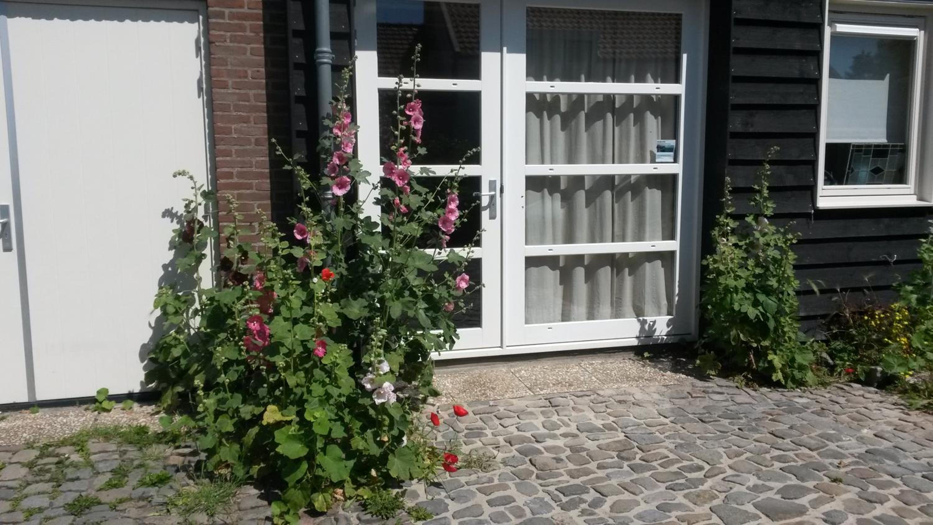 Studio Zilt