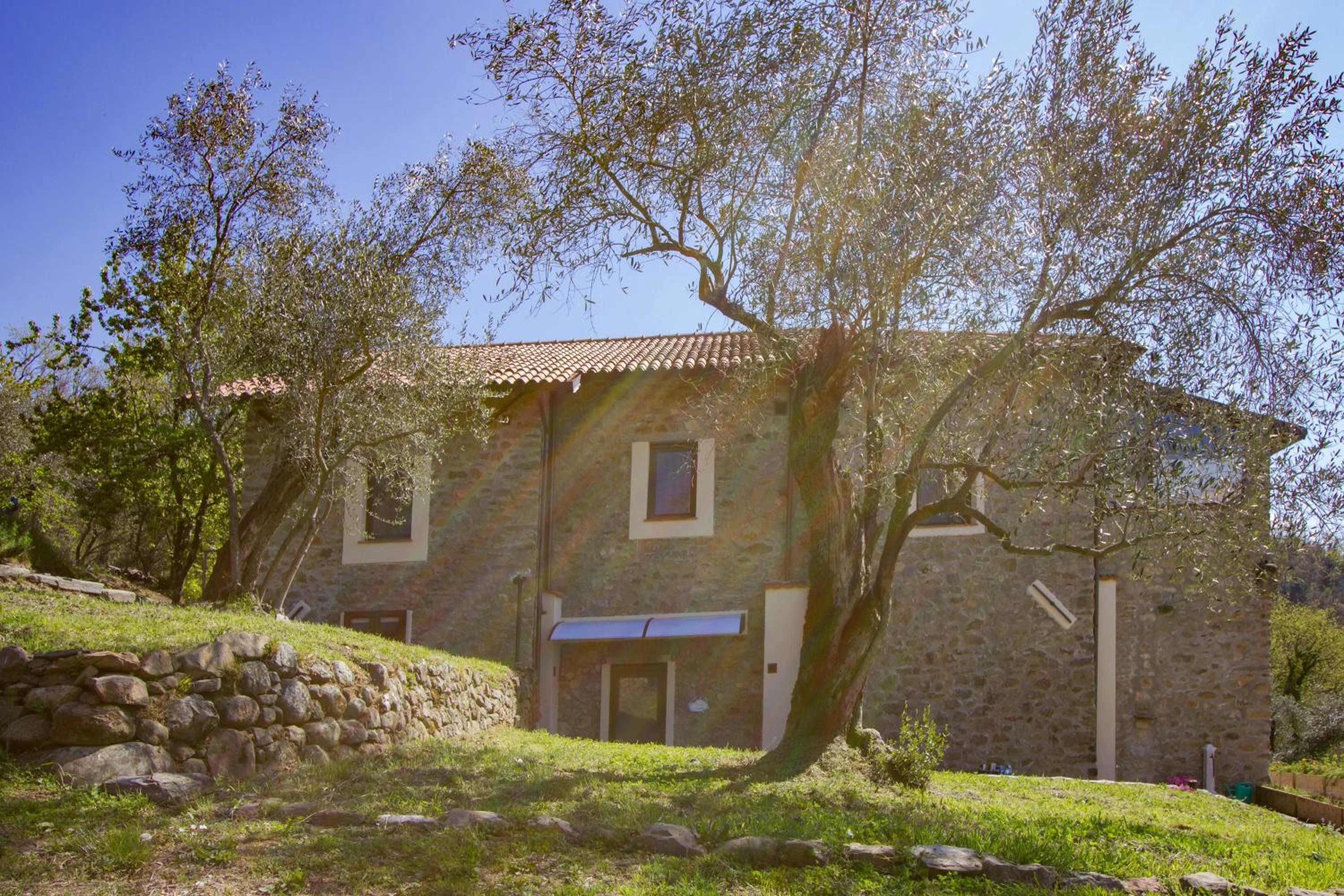Photo 26