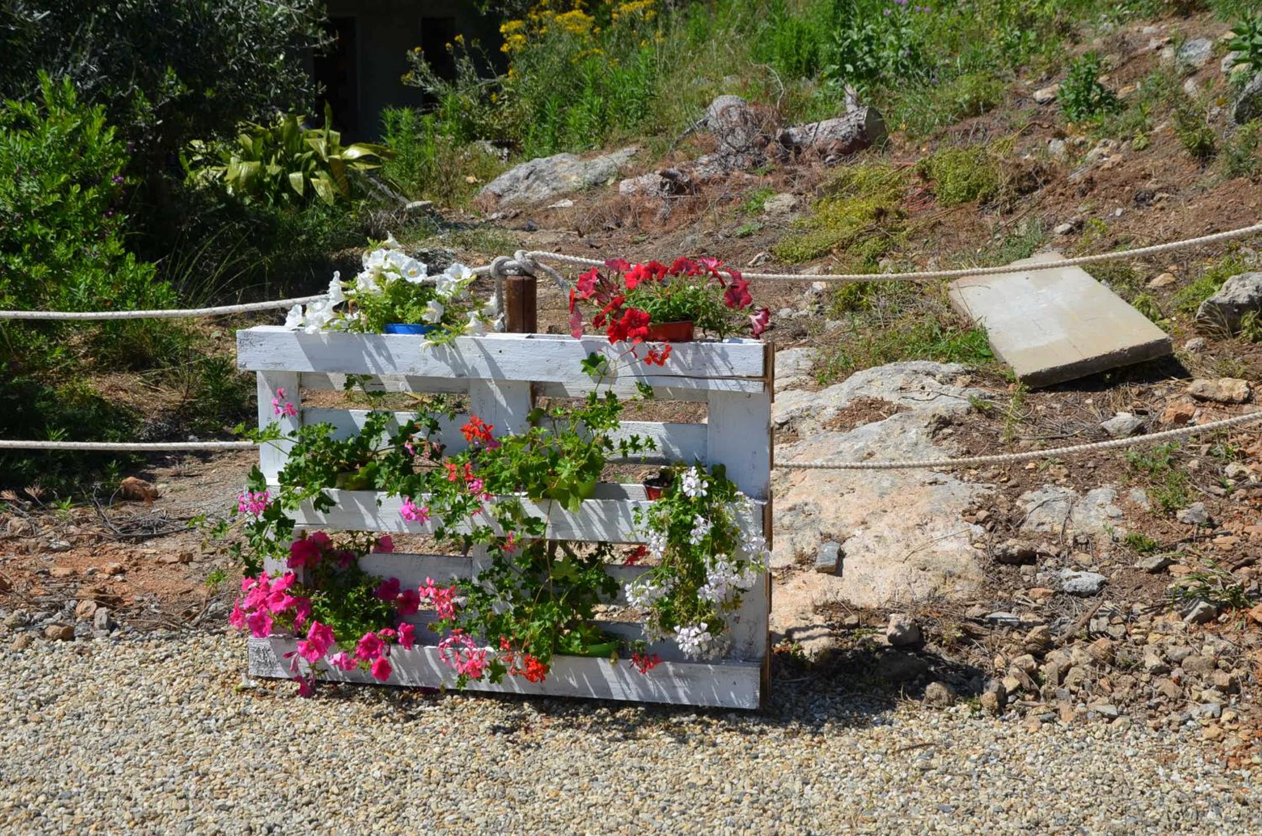 Agriturismo Tendapiccola