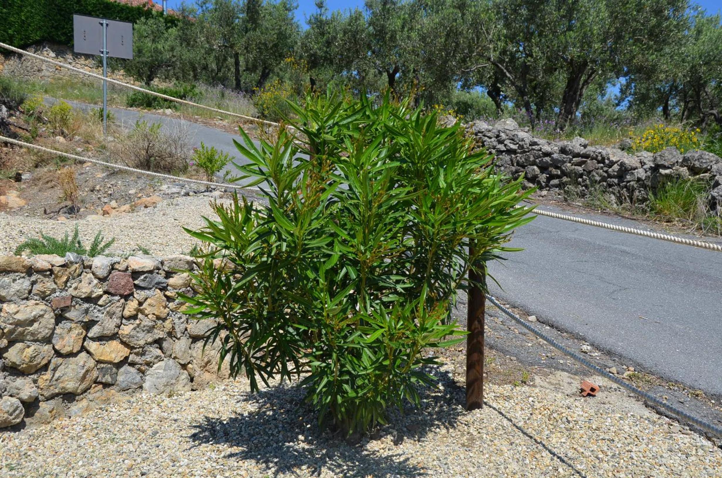 Agriturismo Tendapiccola