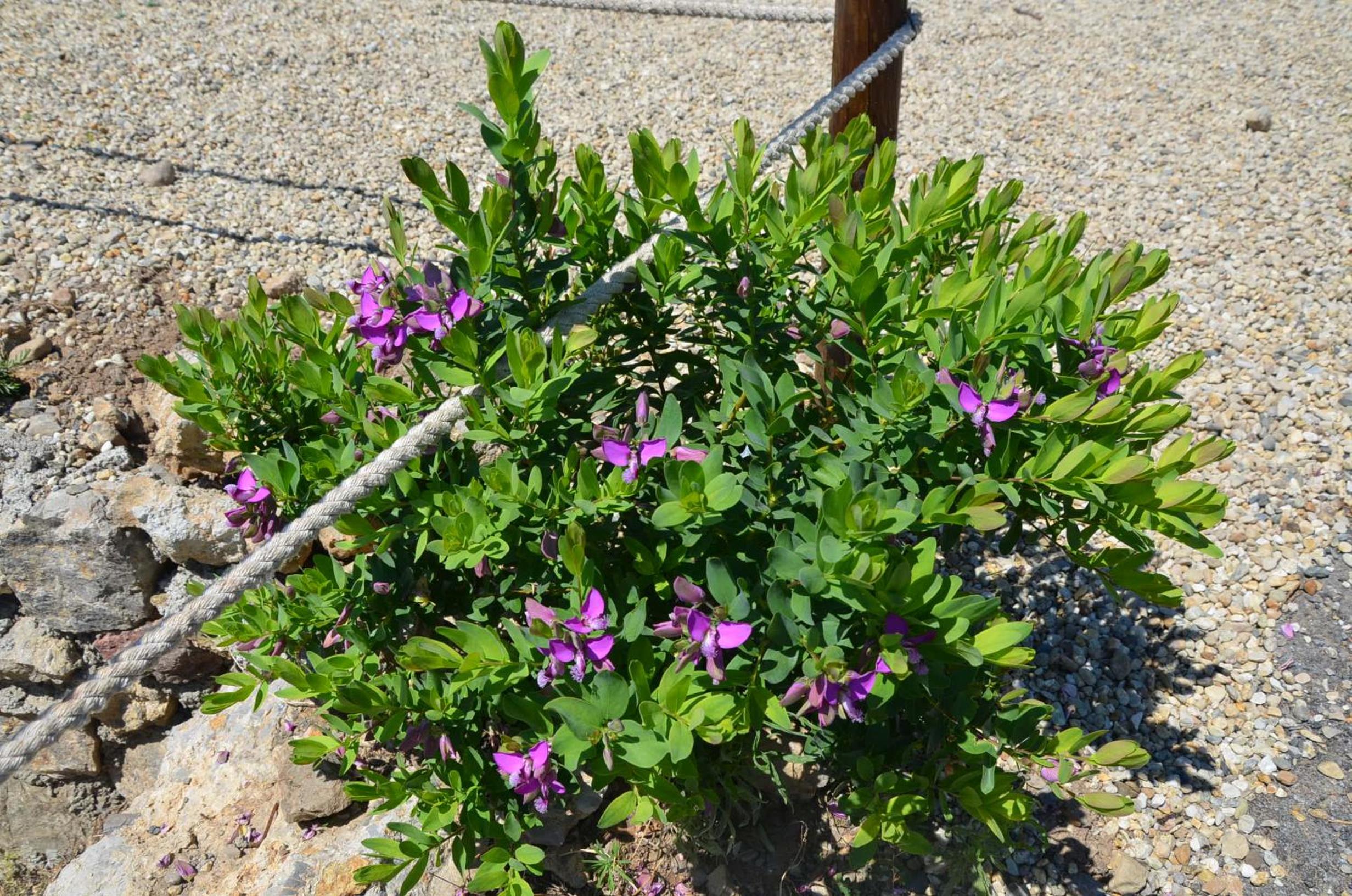 Agriturismo Tendapiccola