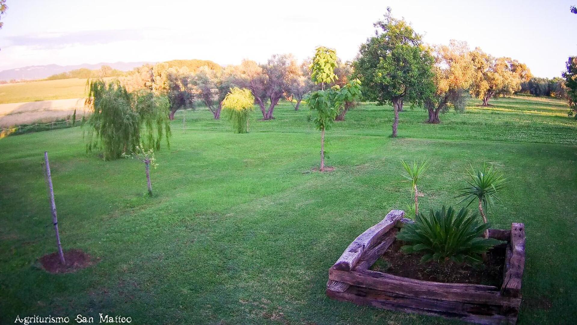 Photo 46
