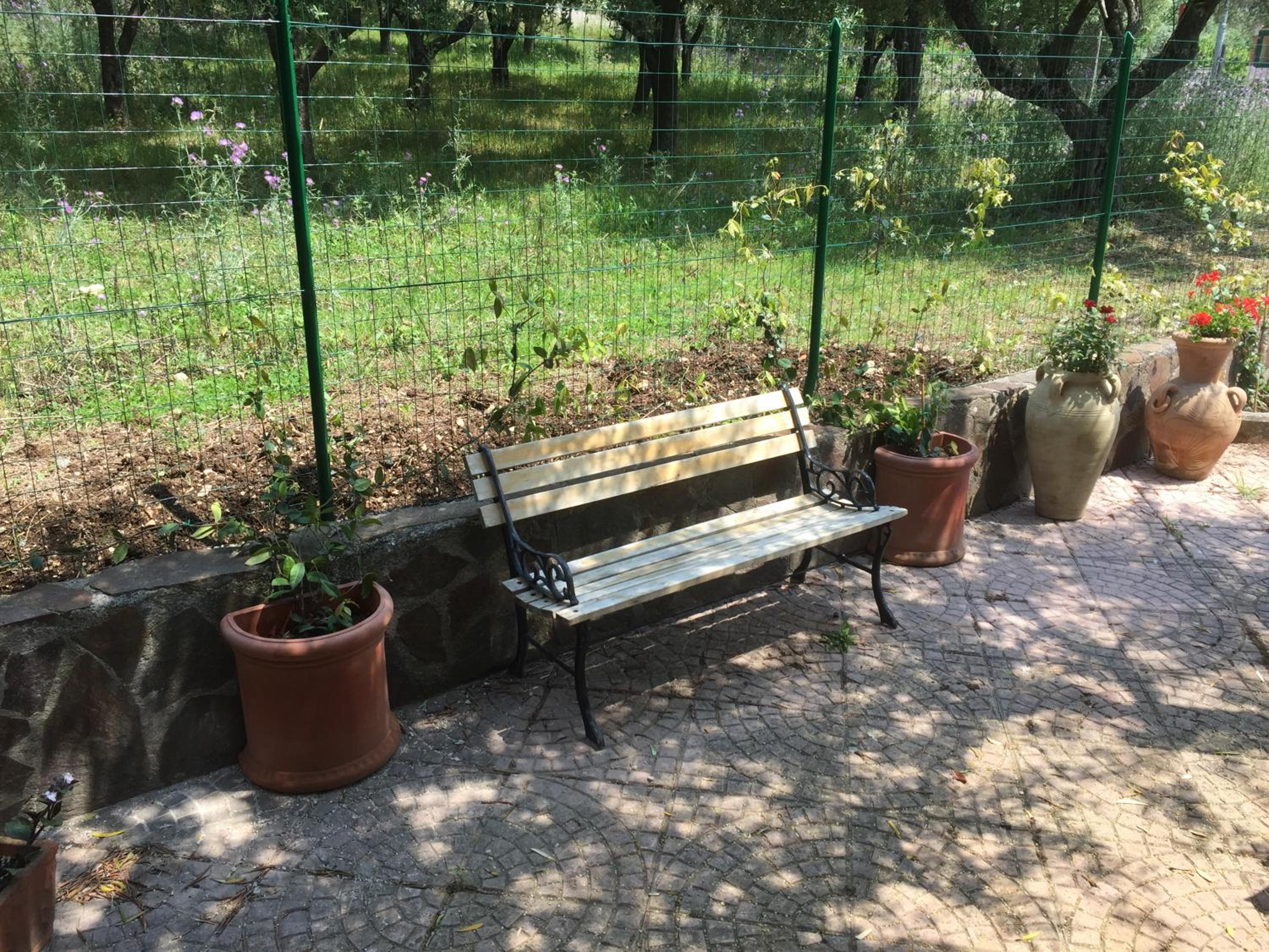 Photo 16