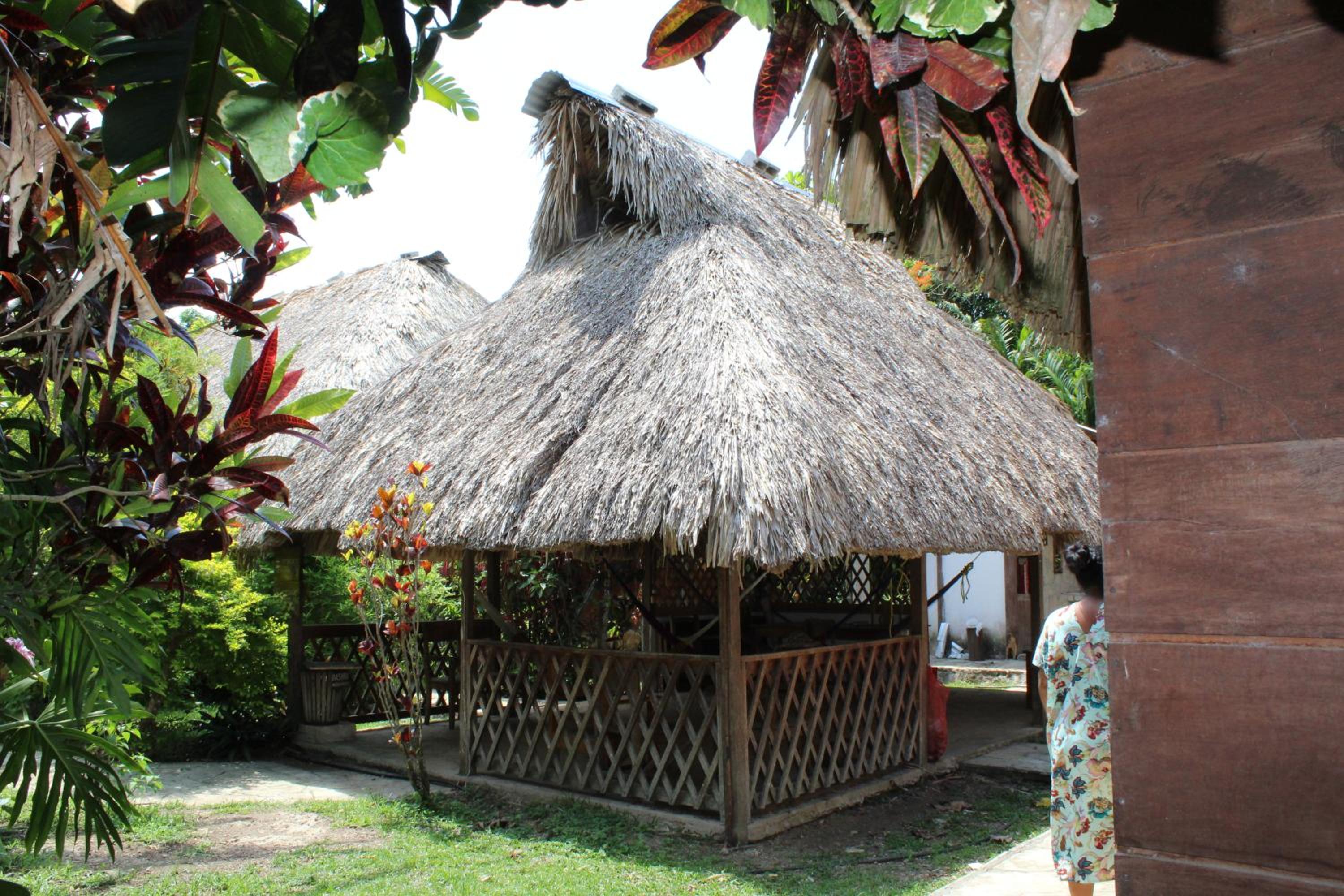 Photo 43