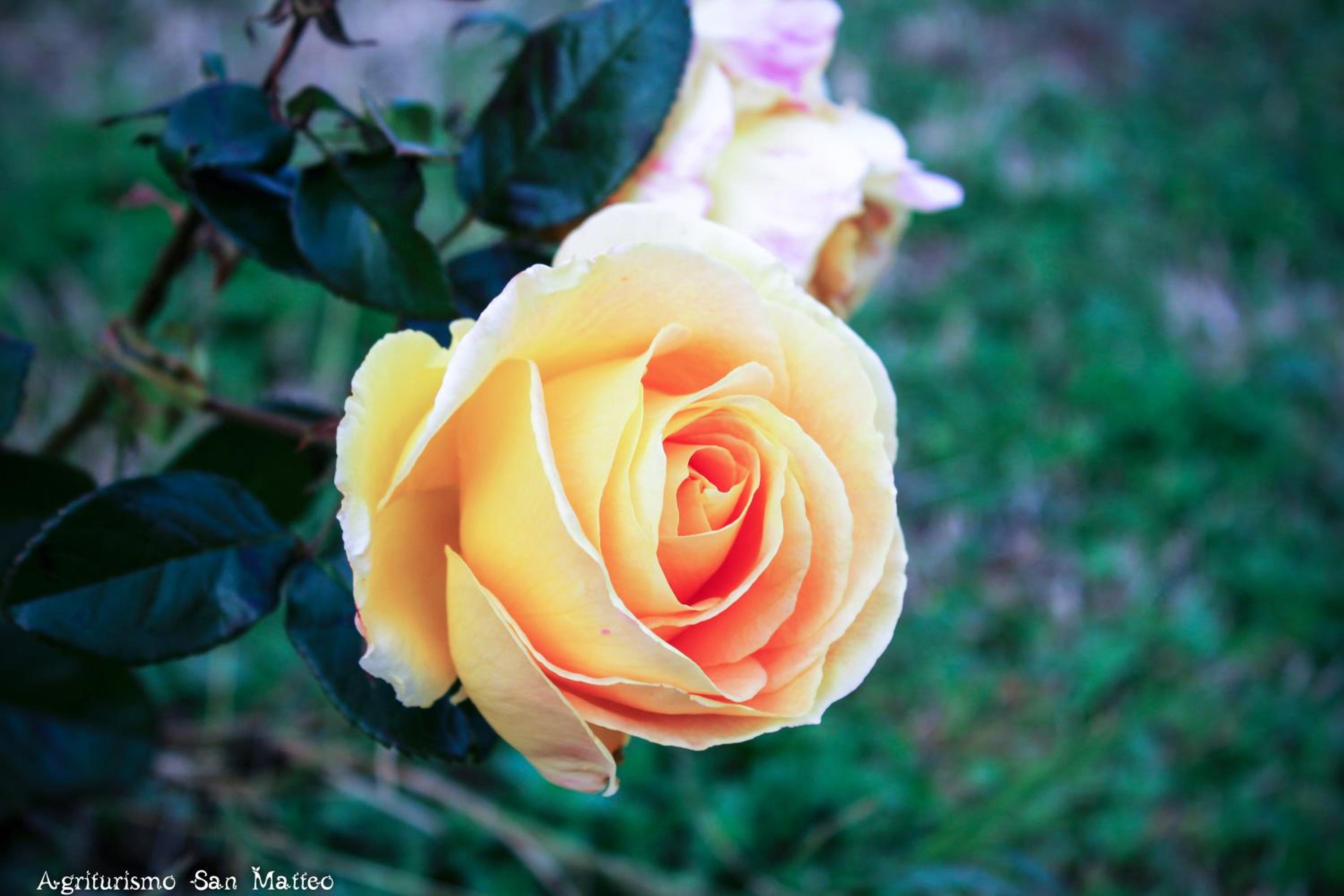 Photo 37