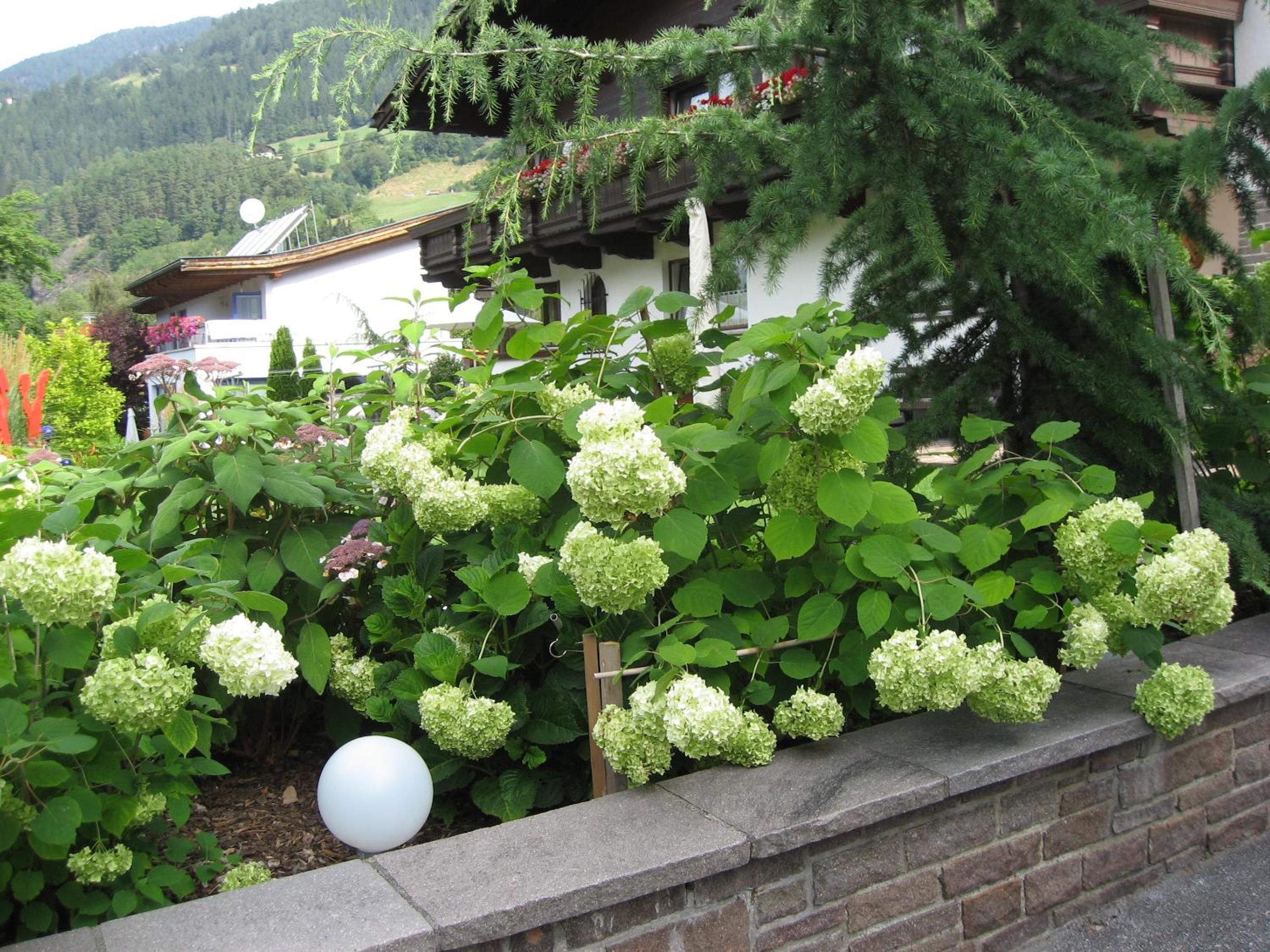 Photo 30