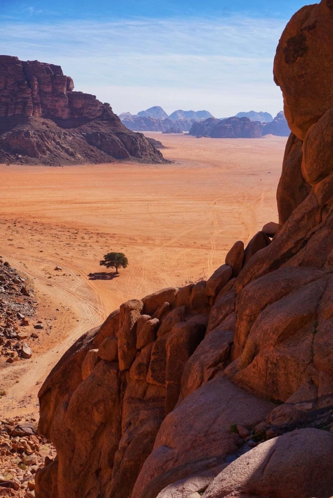 Desert guide camp