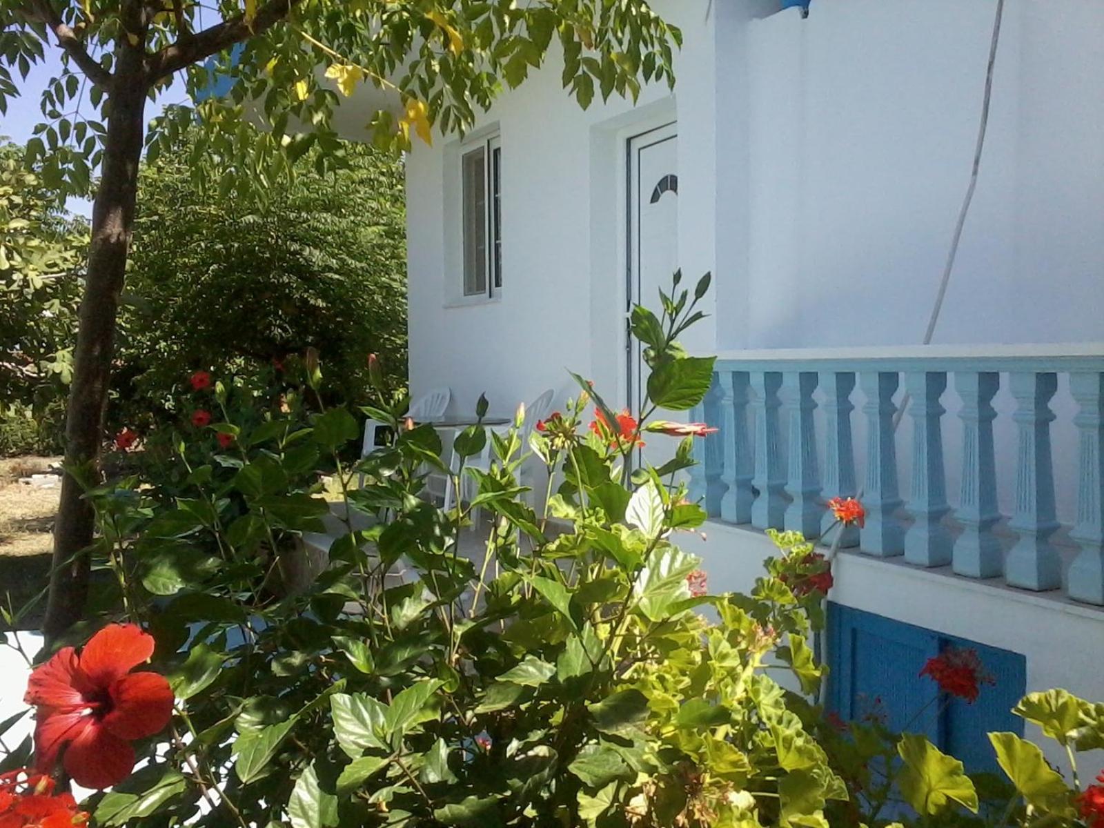 Photo 9