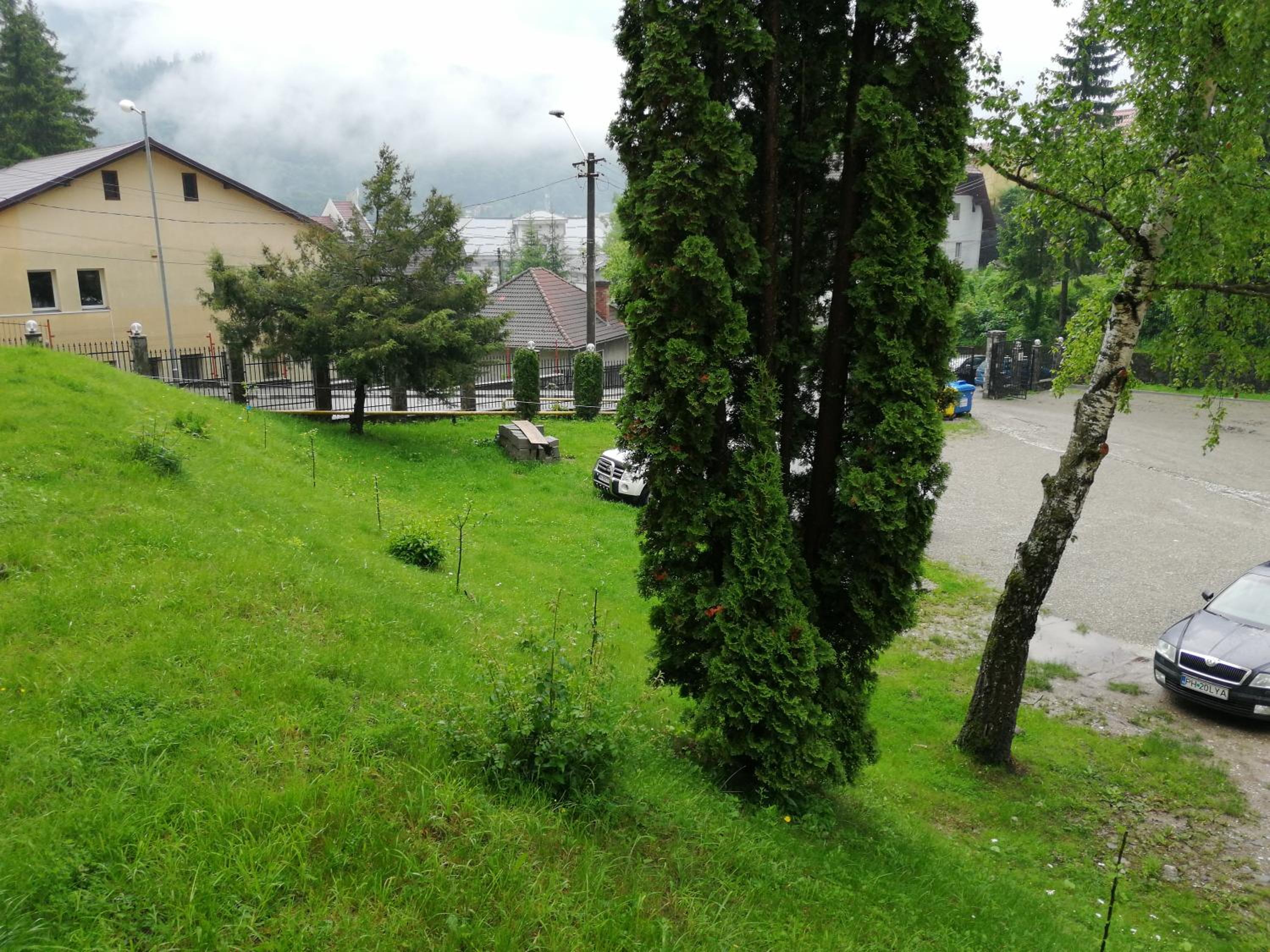 Photo 38